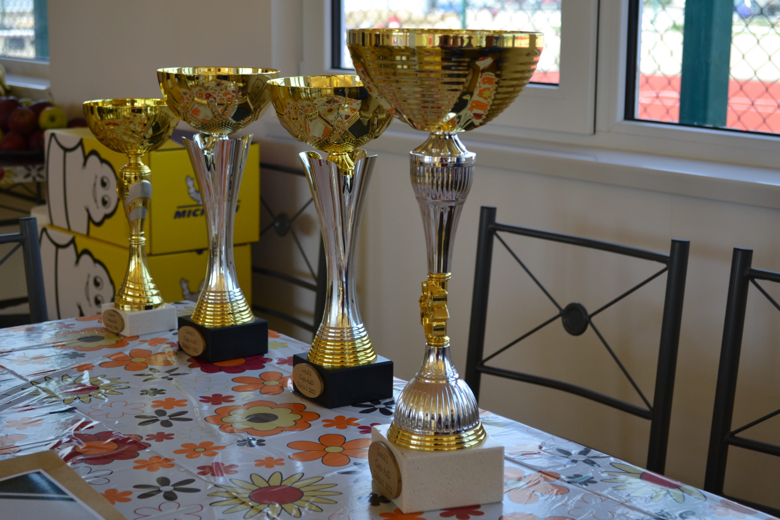 baza sportiva axd oradea (45)