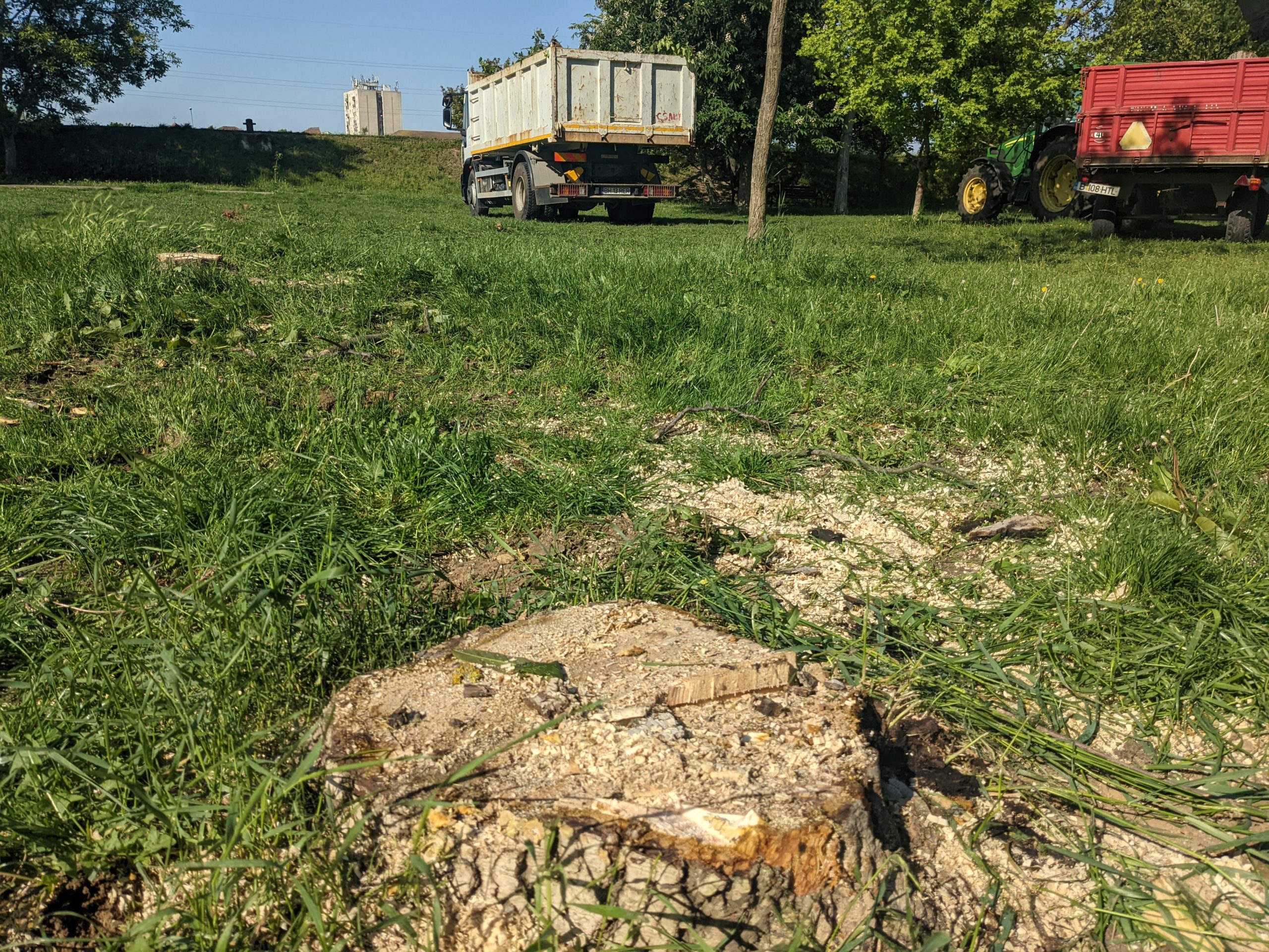 FOTO: Defrișare pe Sovata 11.05.2022