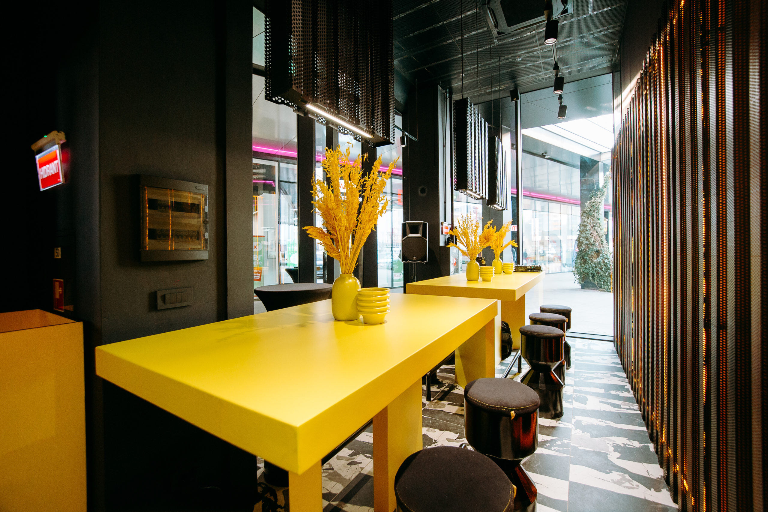 2022-03-17 - Jerome - 0003