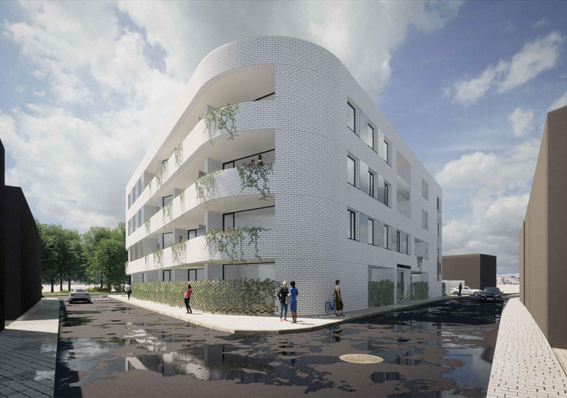 Randare - Invest Sunrise