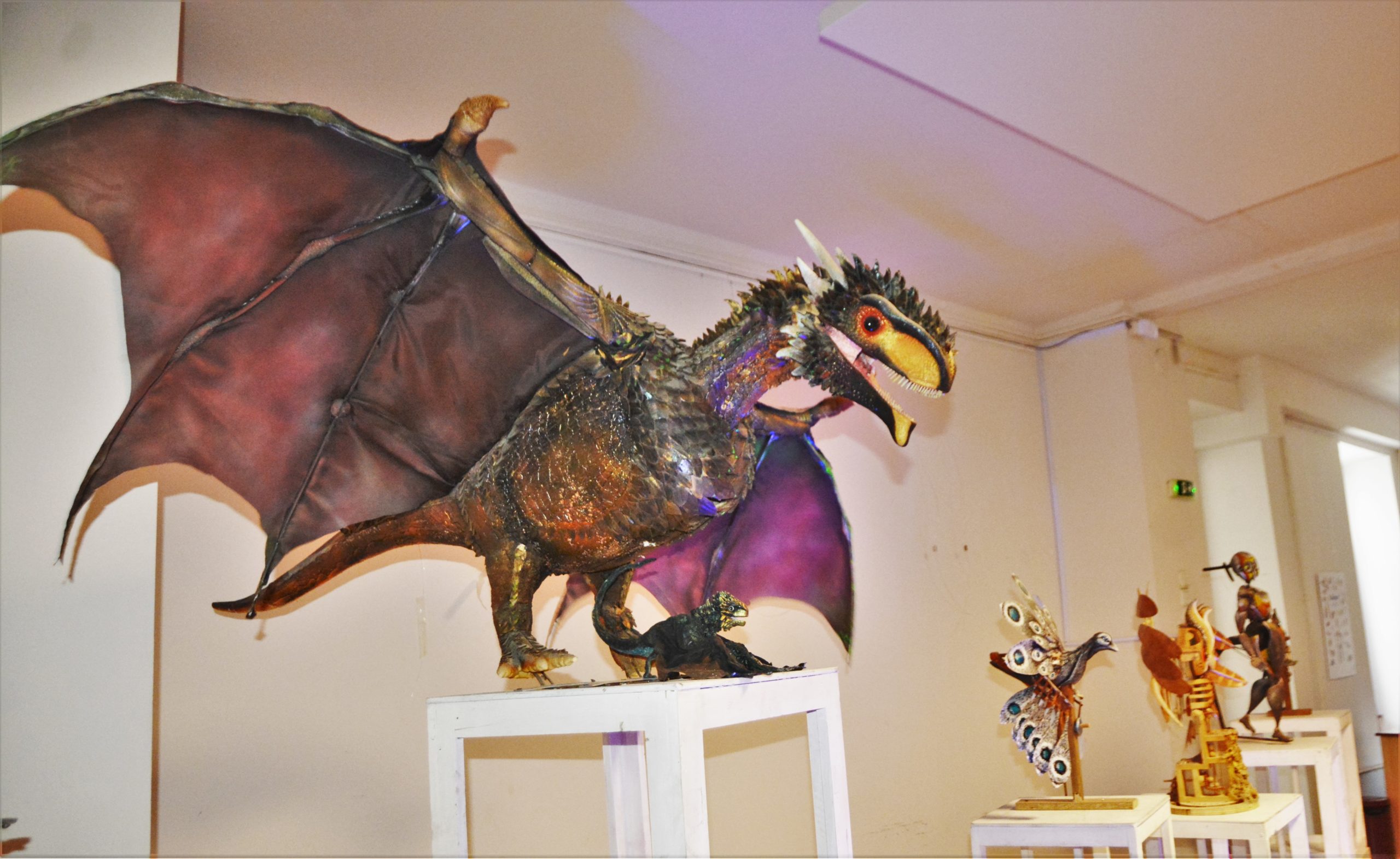 teatrul arcadia oradea (3)