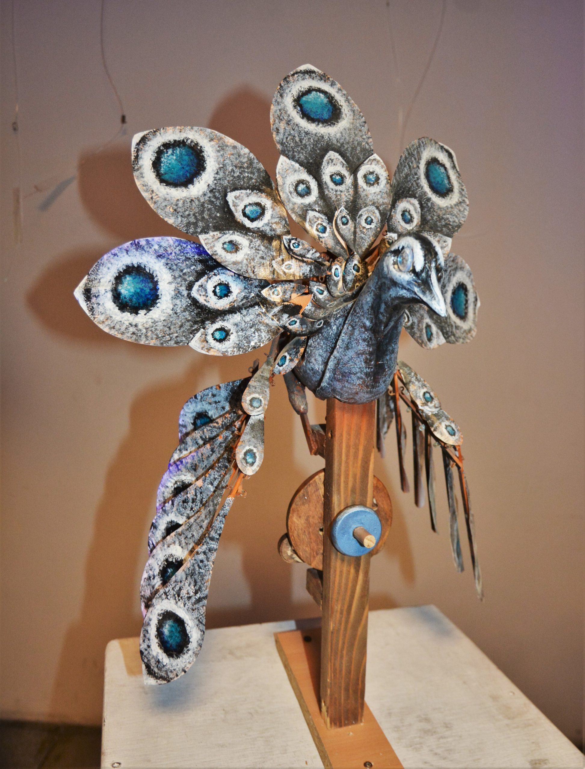 teatrul arcadia oradea (7)