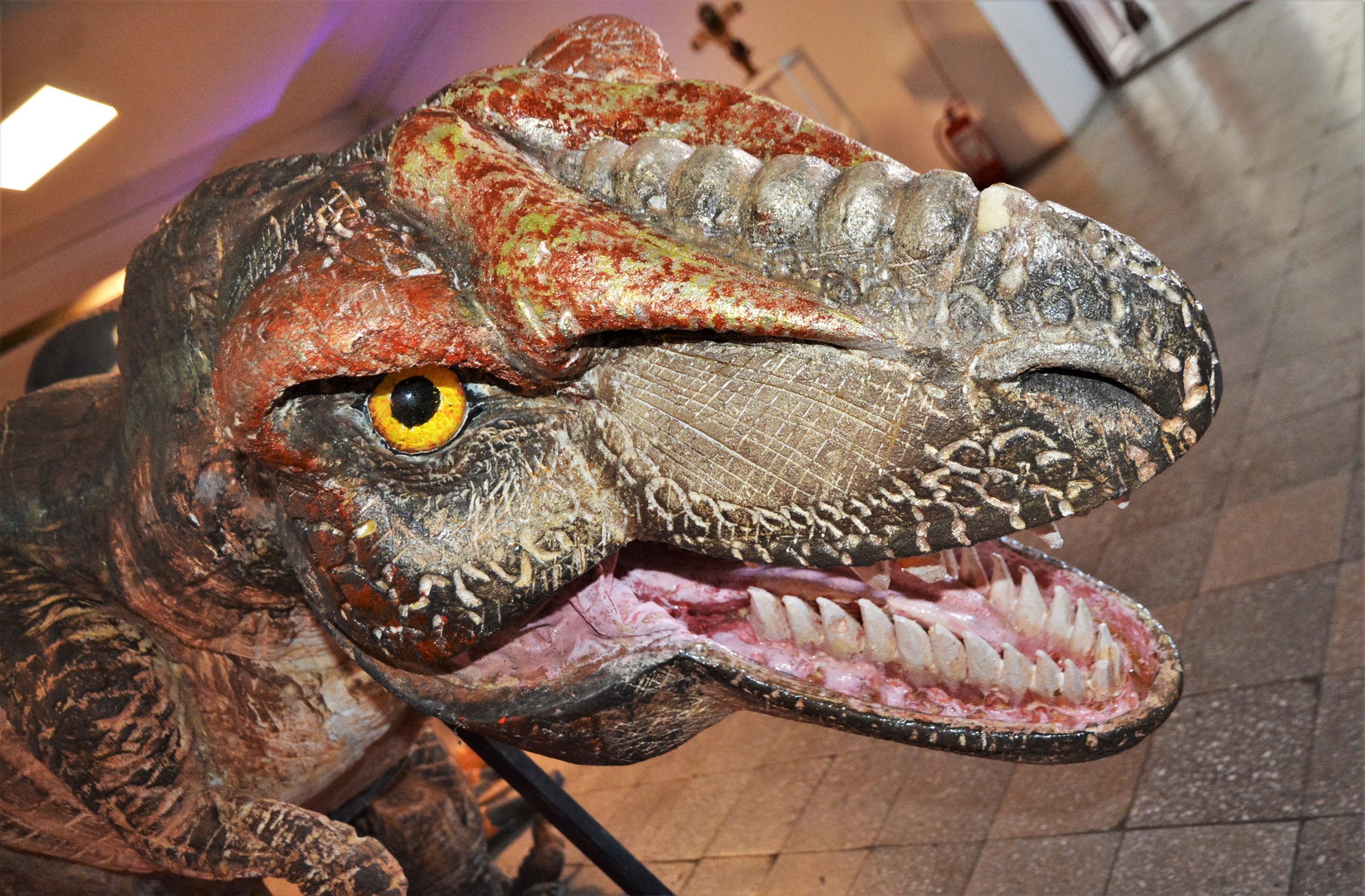 teatrul arcadia oradea (13)