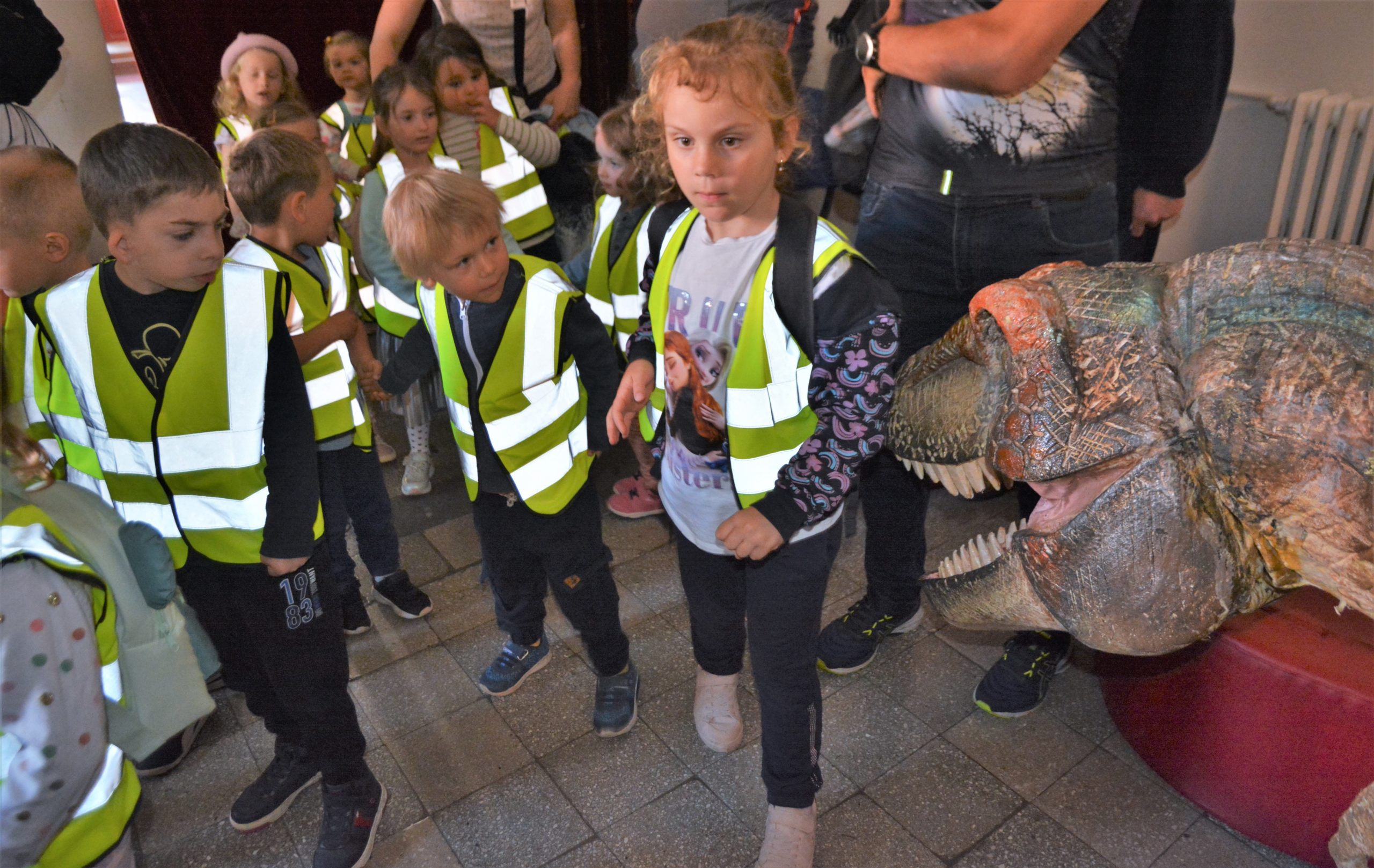 teatrul arcadia oradea (27)