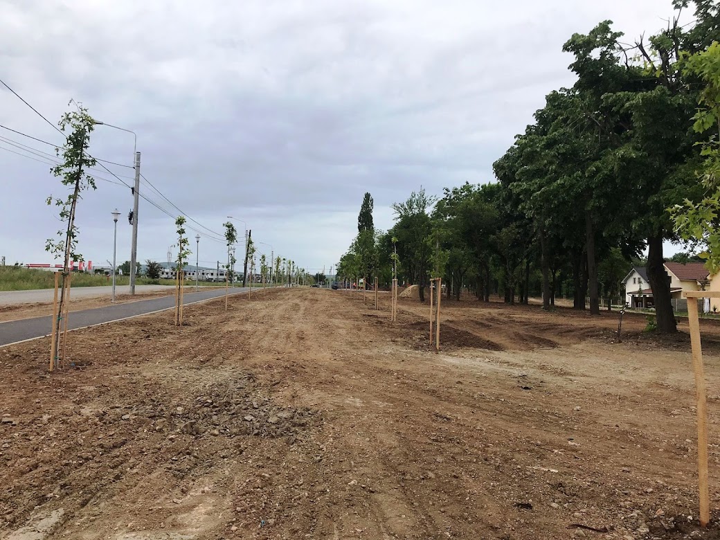 parcul tineretului 6