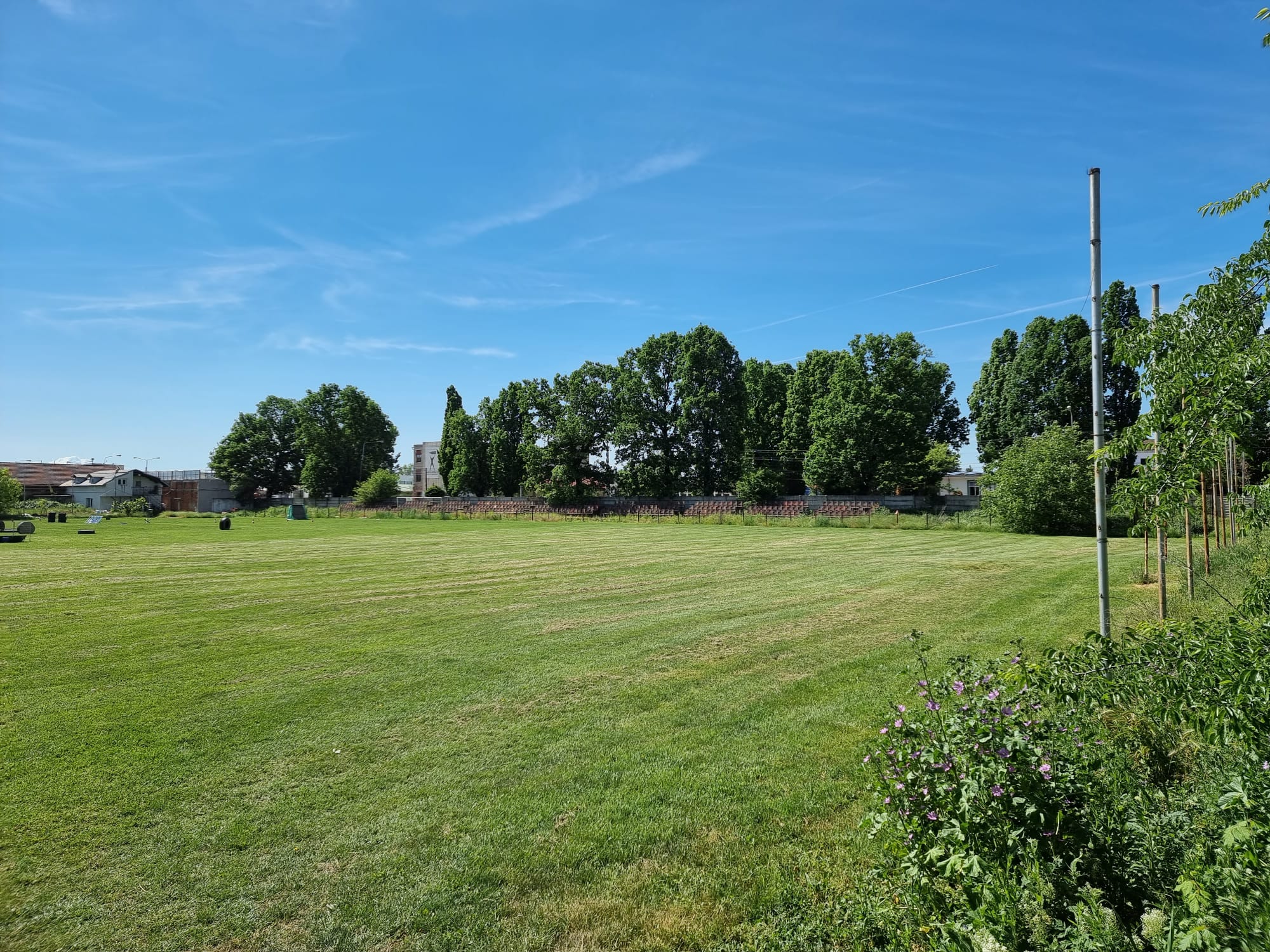 WhatsApp Image 2022-05-26 at 11.42.26 AM (2)