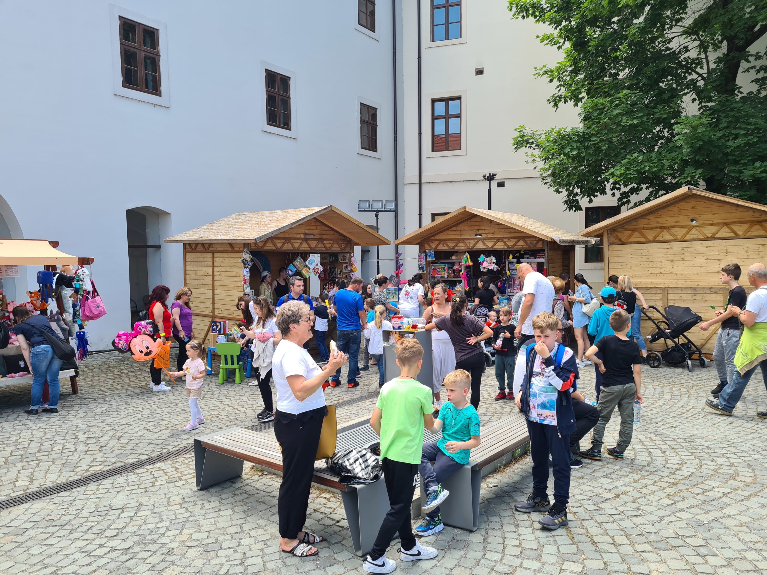 1 iunie cetatea oradea (33)