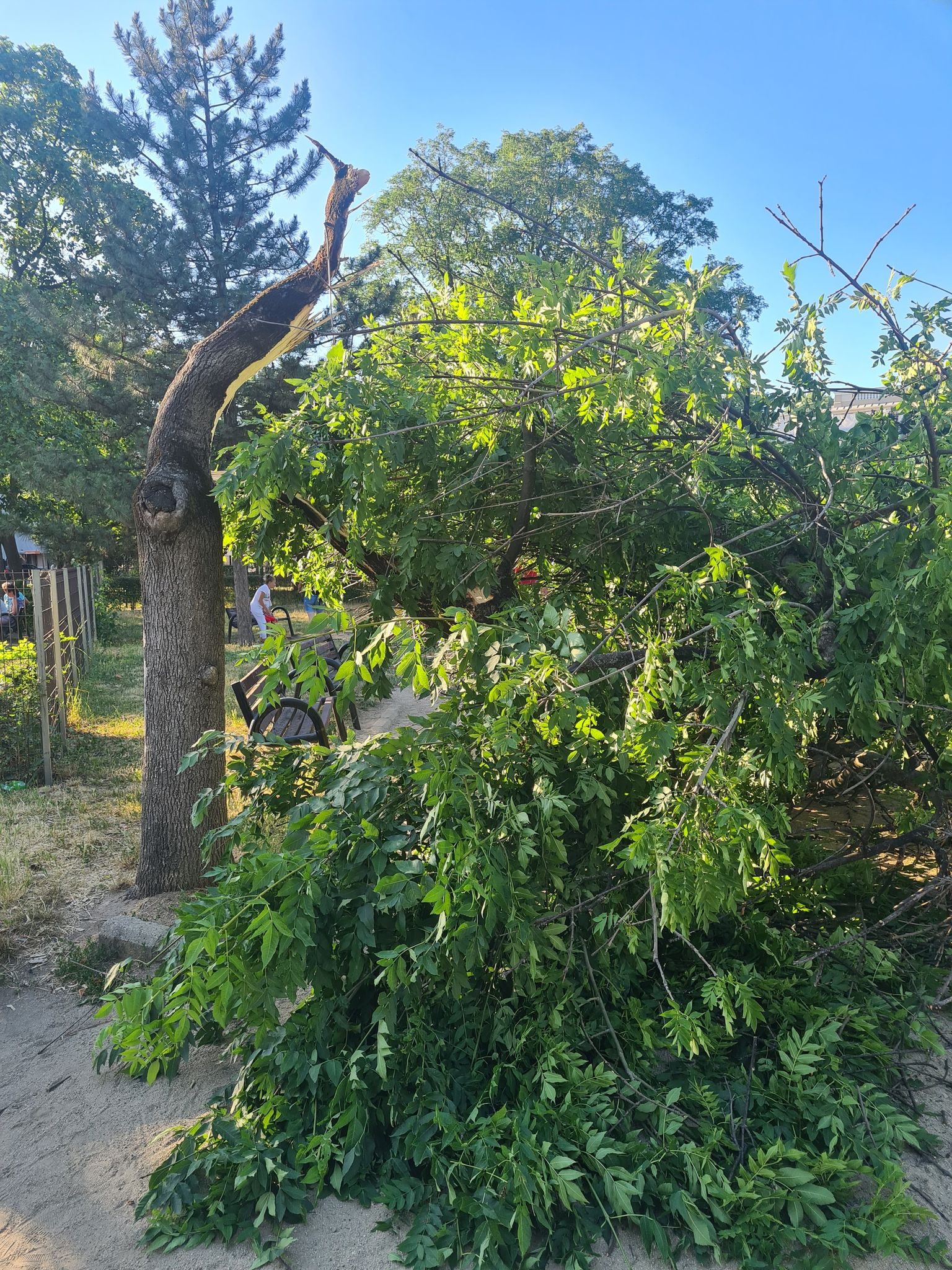 288519697_973117216699785_1655837589657878593_n