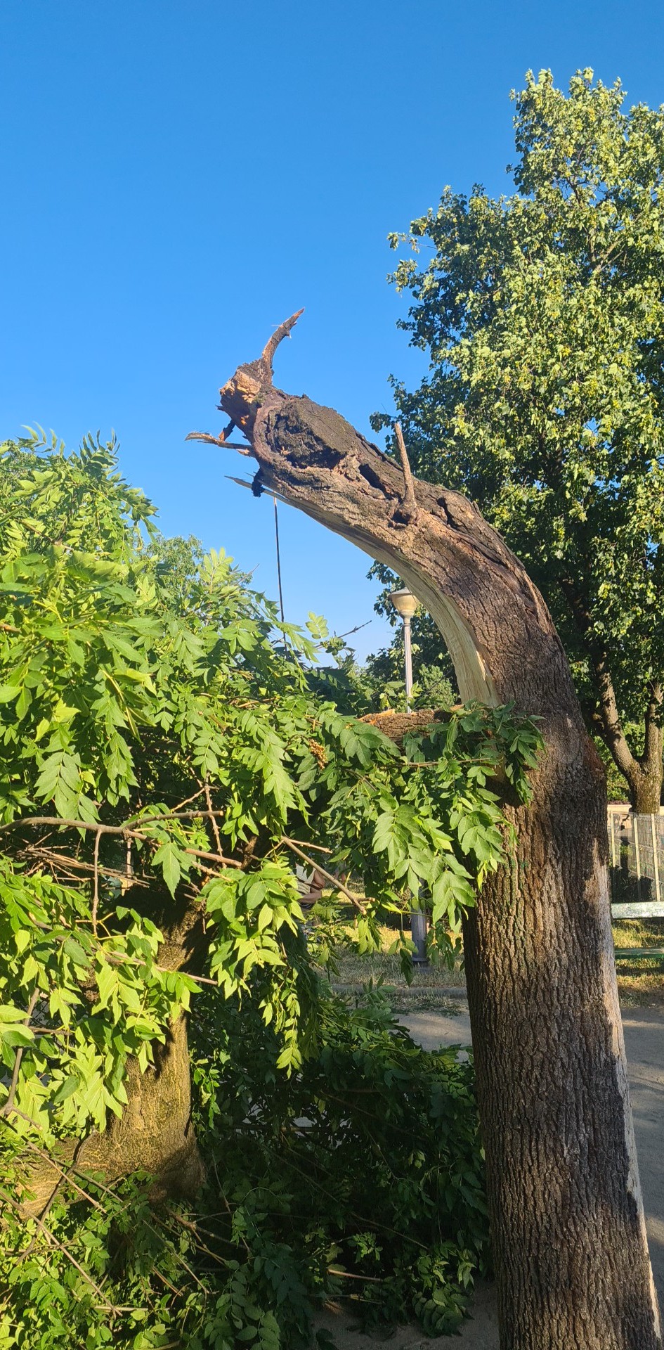 288866431_550129126817271_1009912673733937130_n