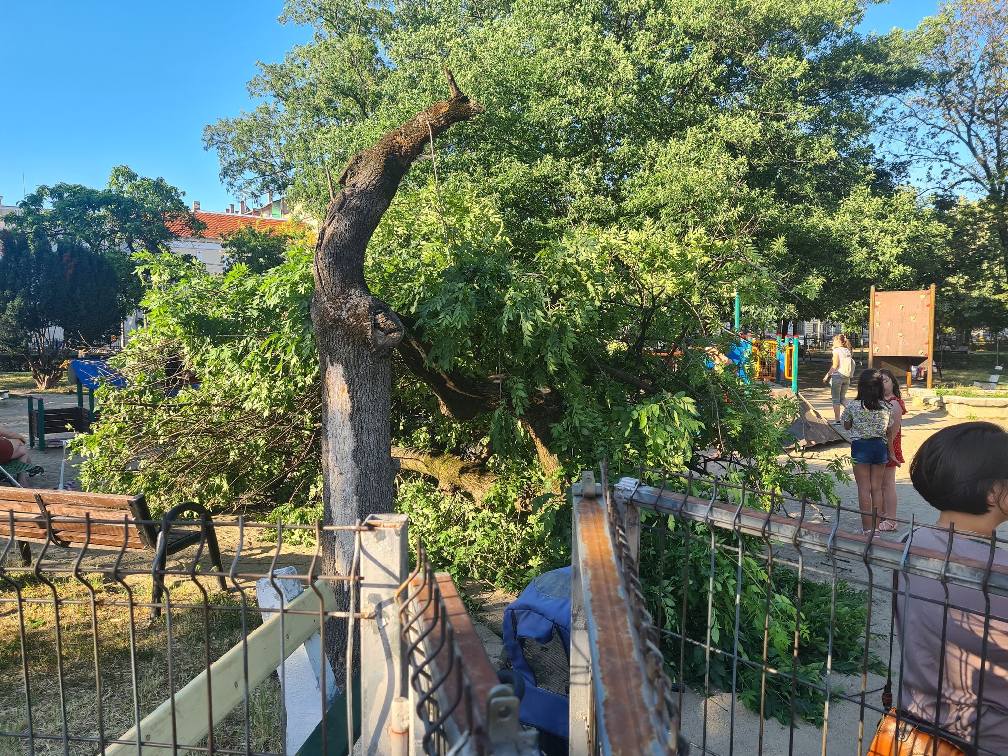 288623011_914889356042911_5324800527693012820_n