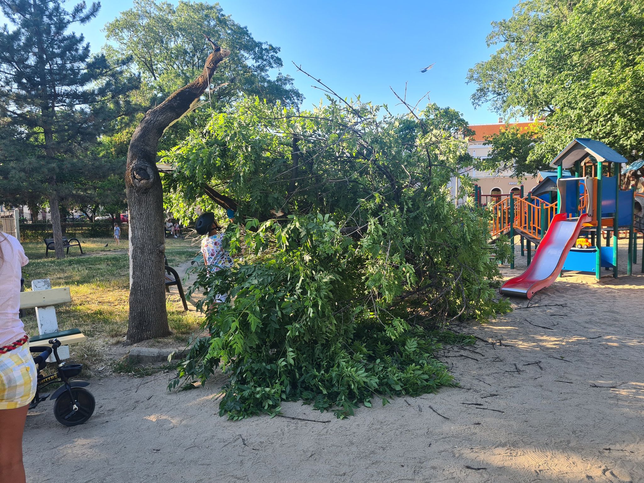 289338208_762428191460731_510142297226119430_n