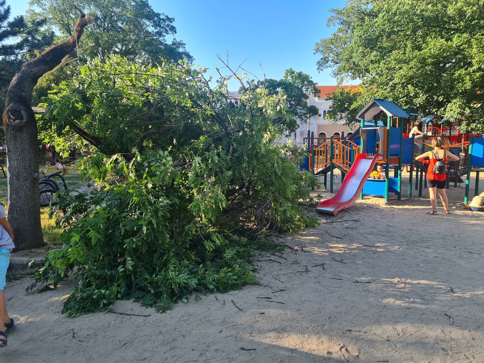 288953767_366408032225276_1646997821406148101_n