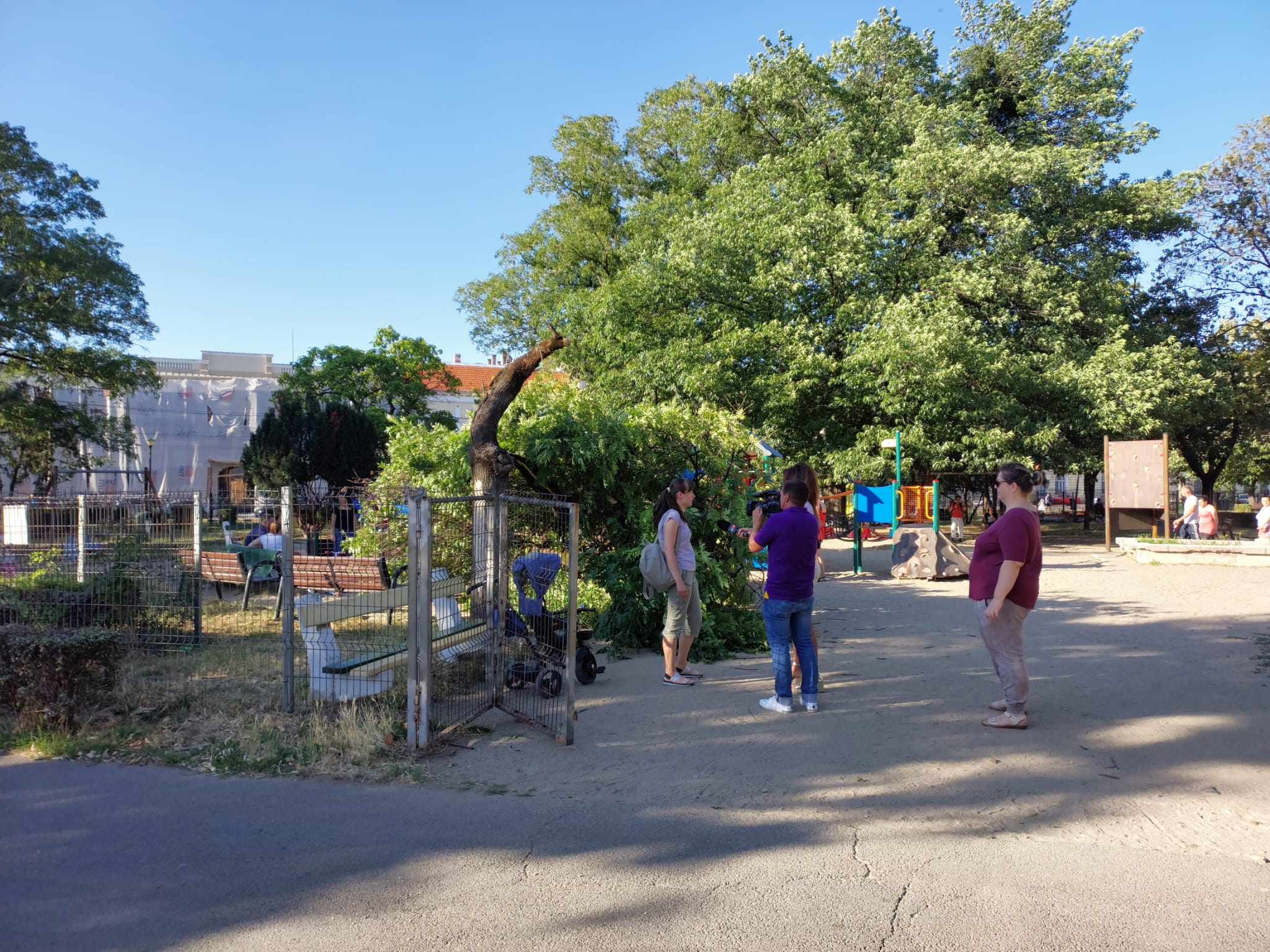 WhatsApp Image 2022-06-21 at 19.16.37