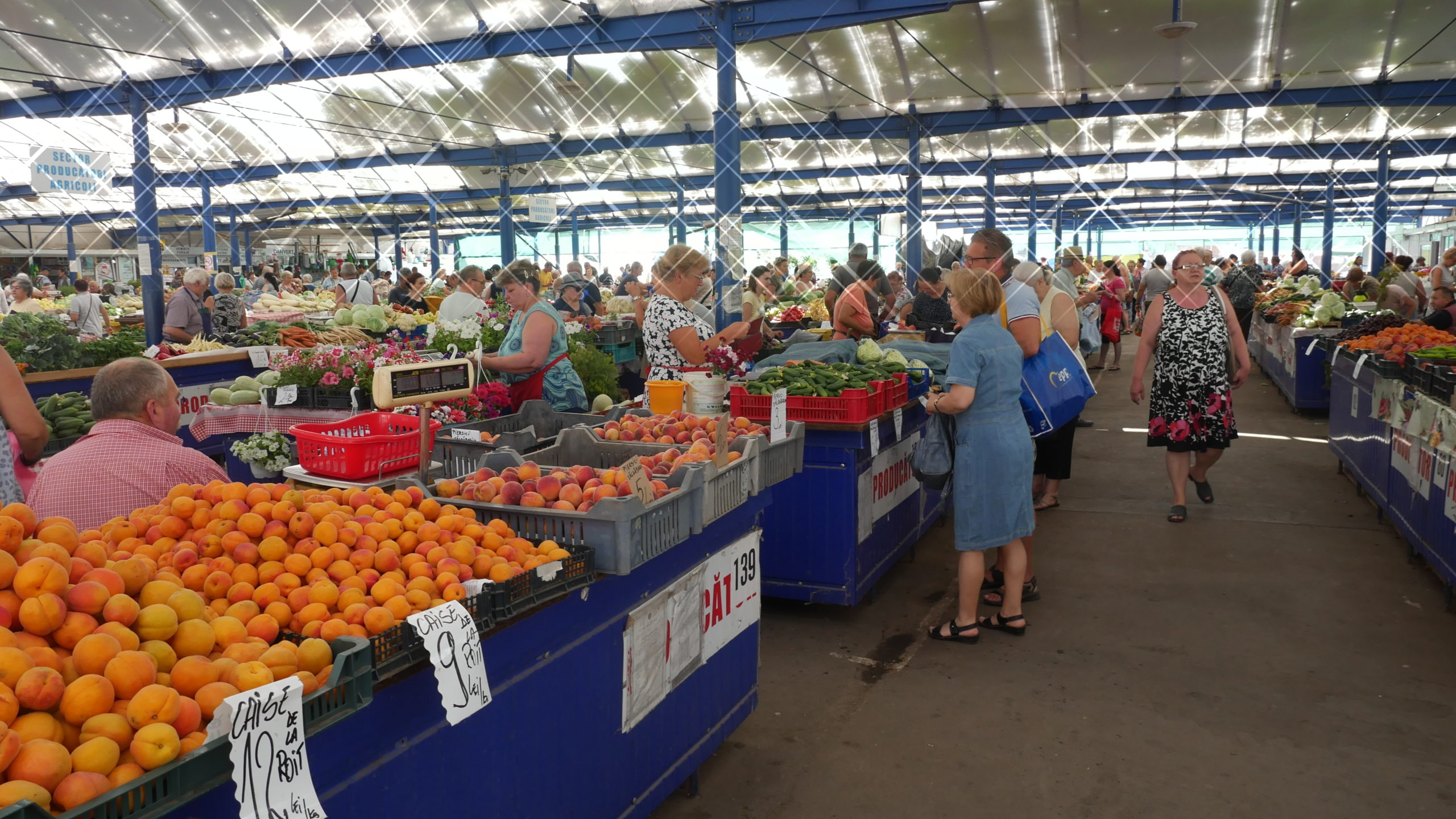 piata cetate oradea (4)