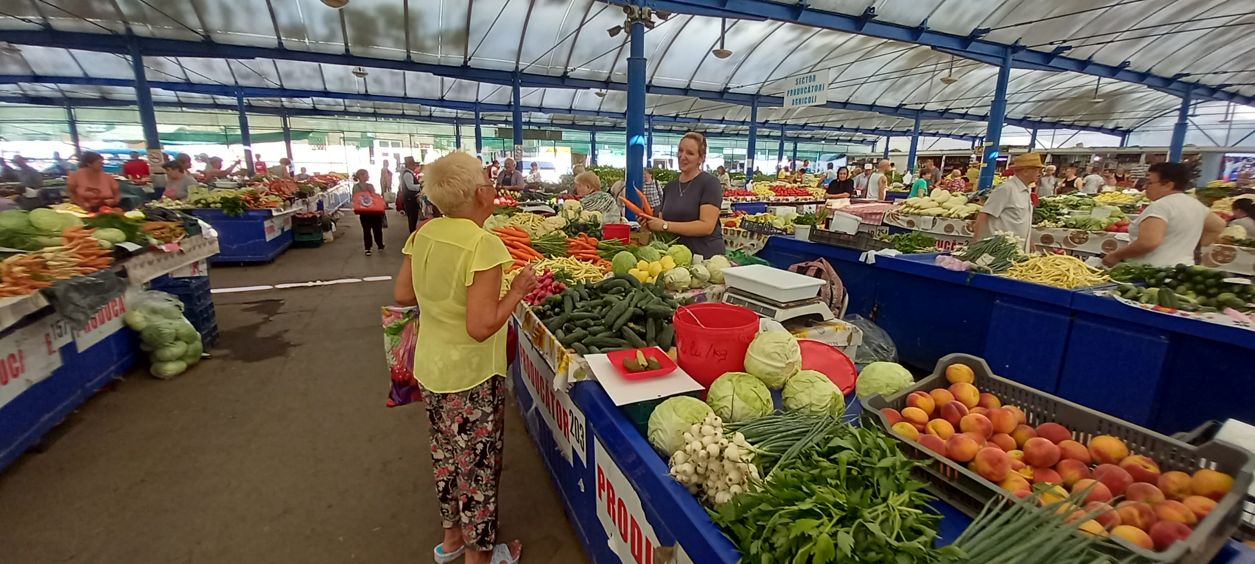 piata cetate oradea (11)