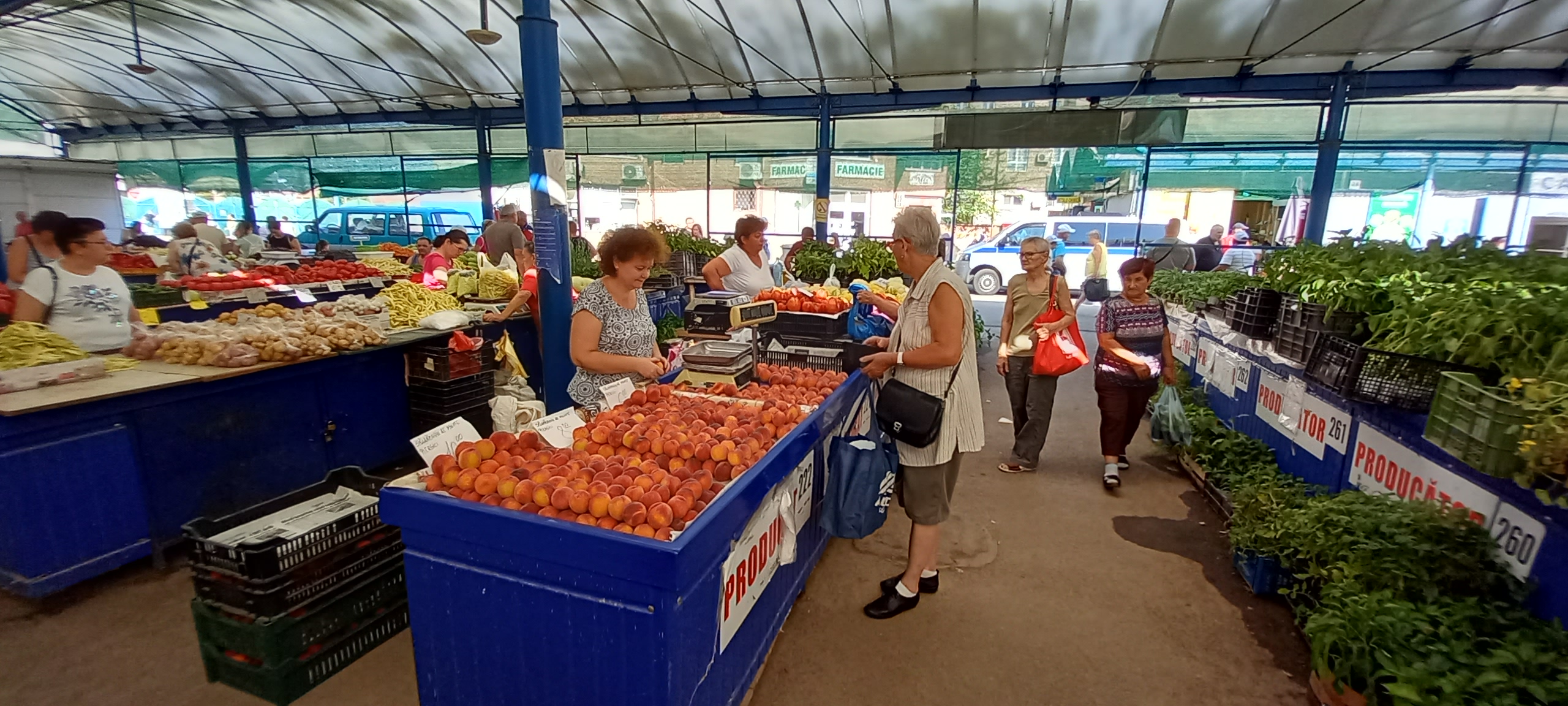 piata cetate oradea (17)