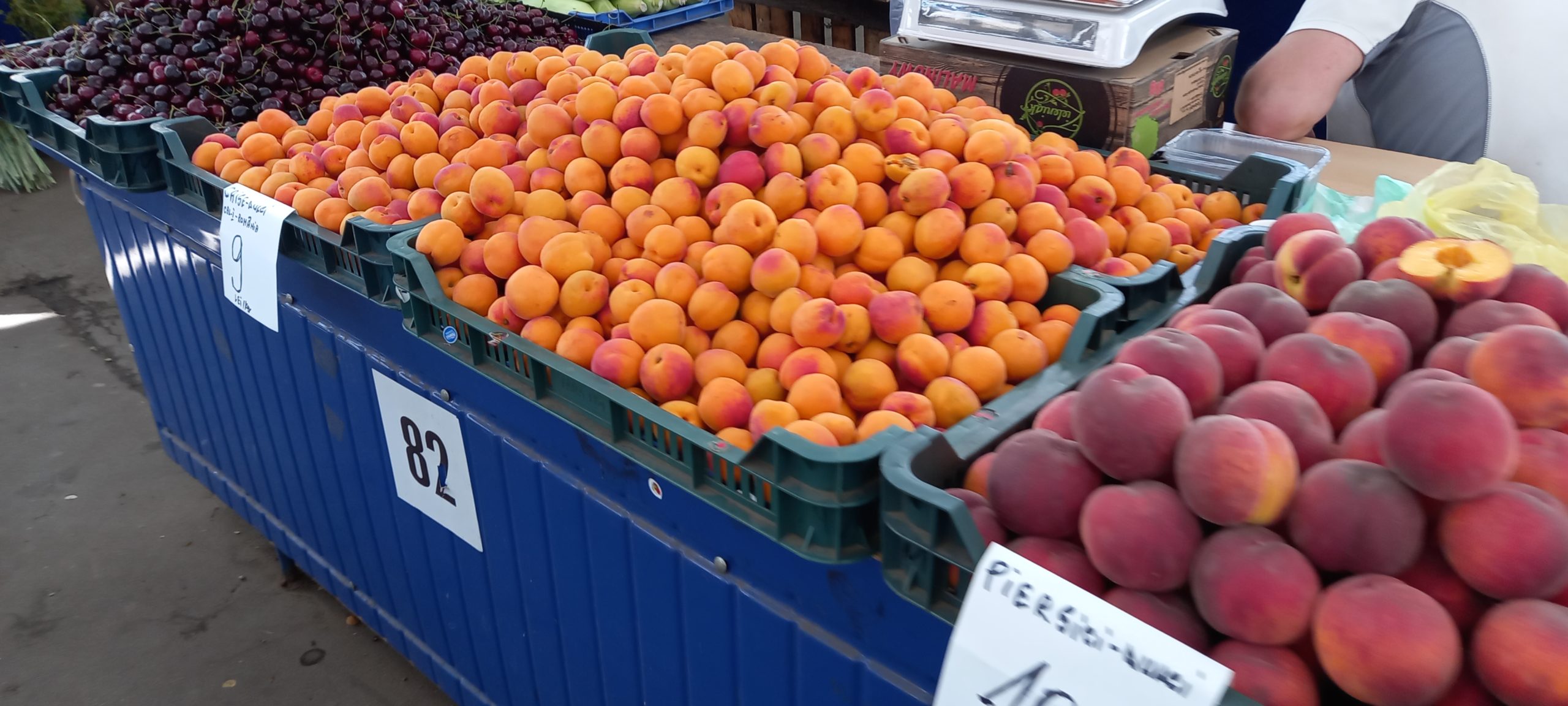 piata cetate oradea (31)