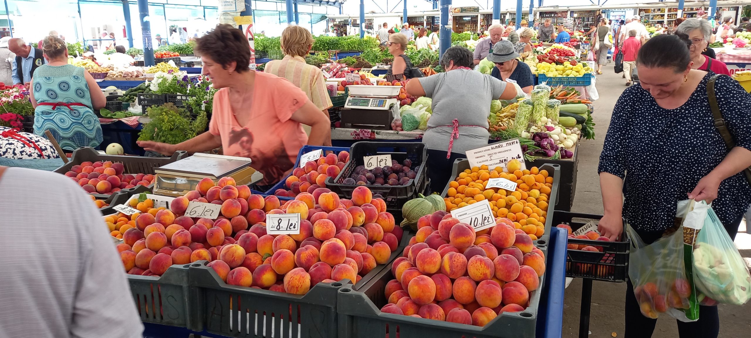 piata cetate oradea (32)