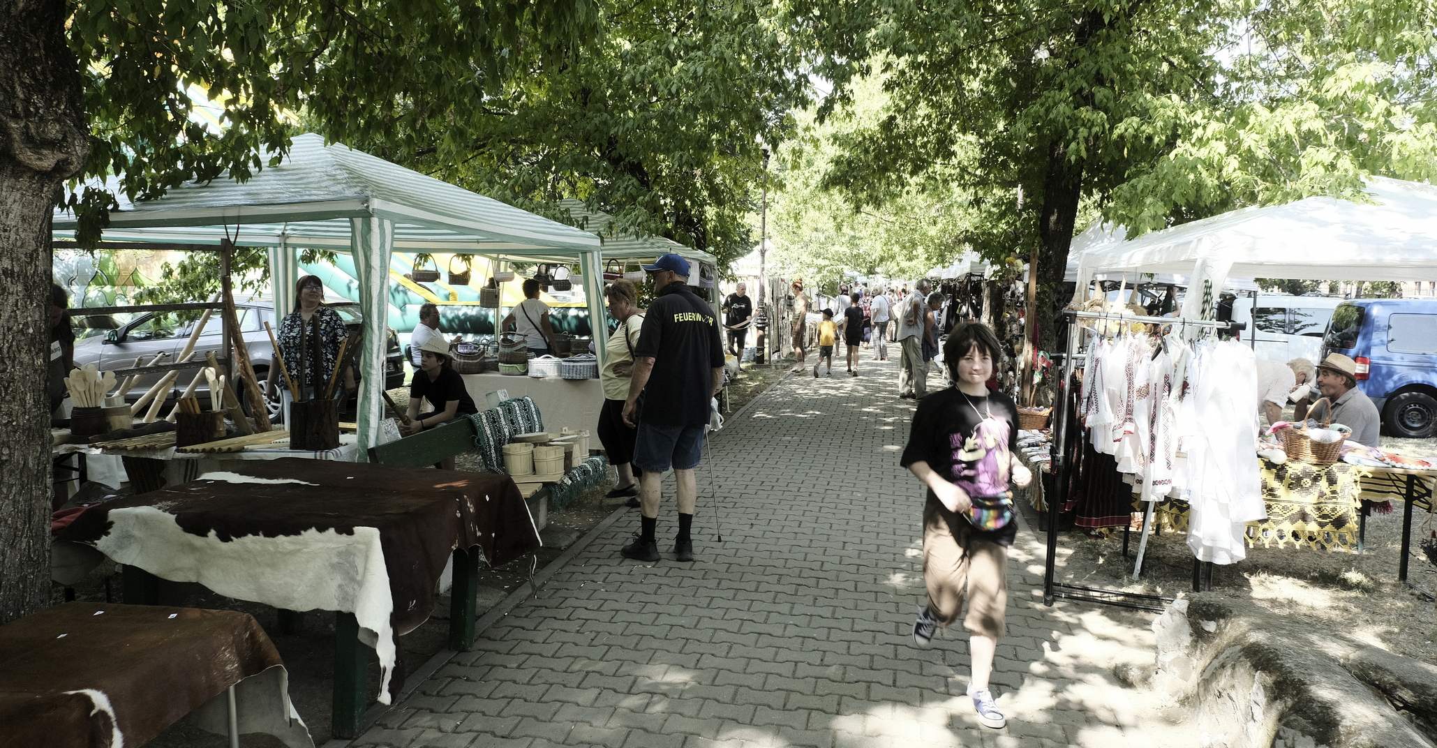 targul mesterilor populari oradea (2)