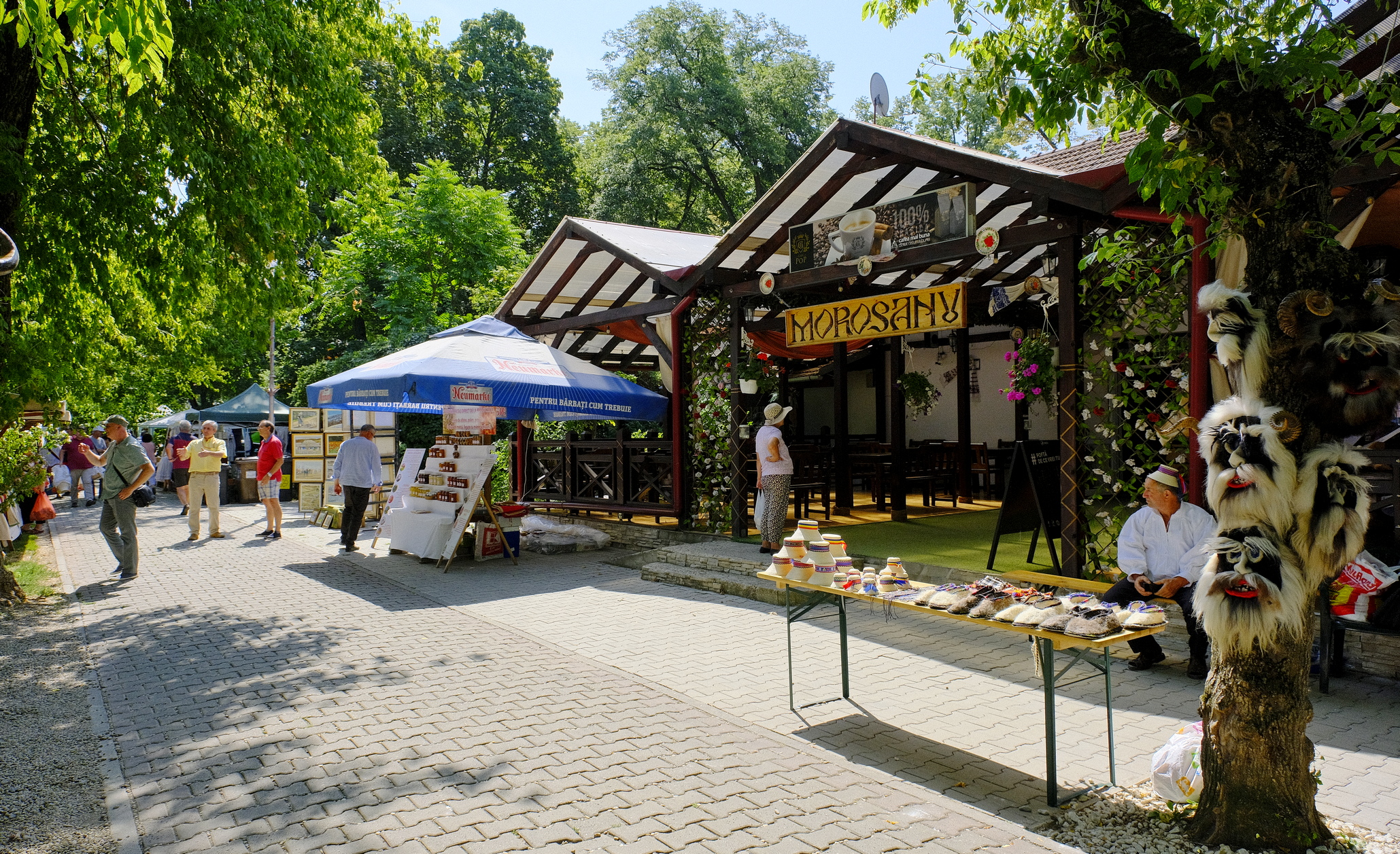 targul mesterilor populari oradea (18)