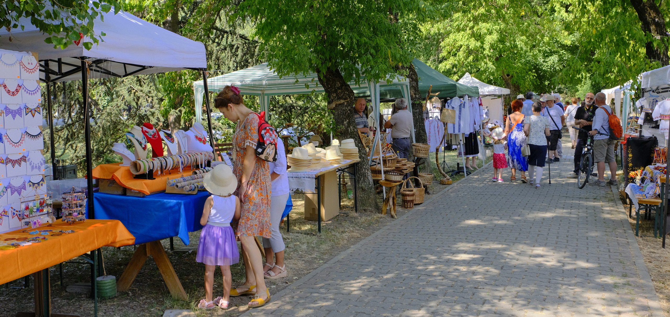 targul mesterilor populari oradea (34)