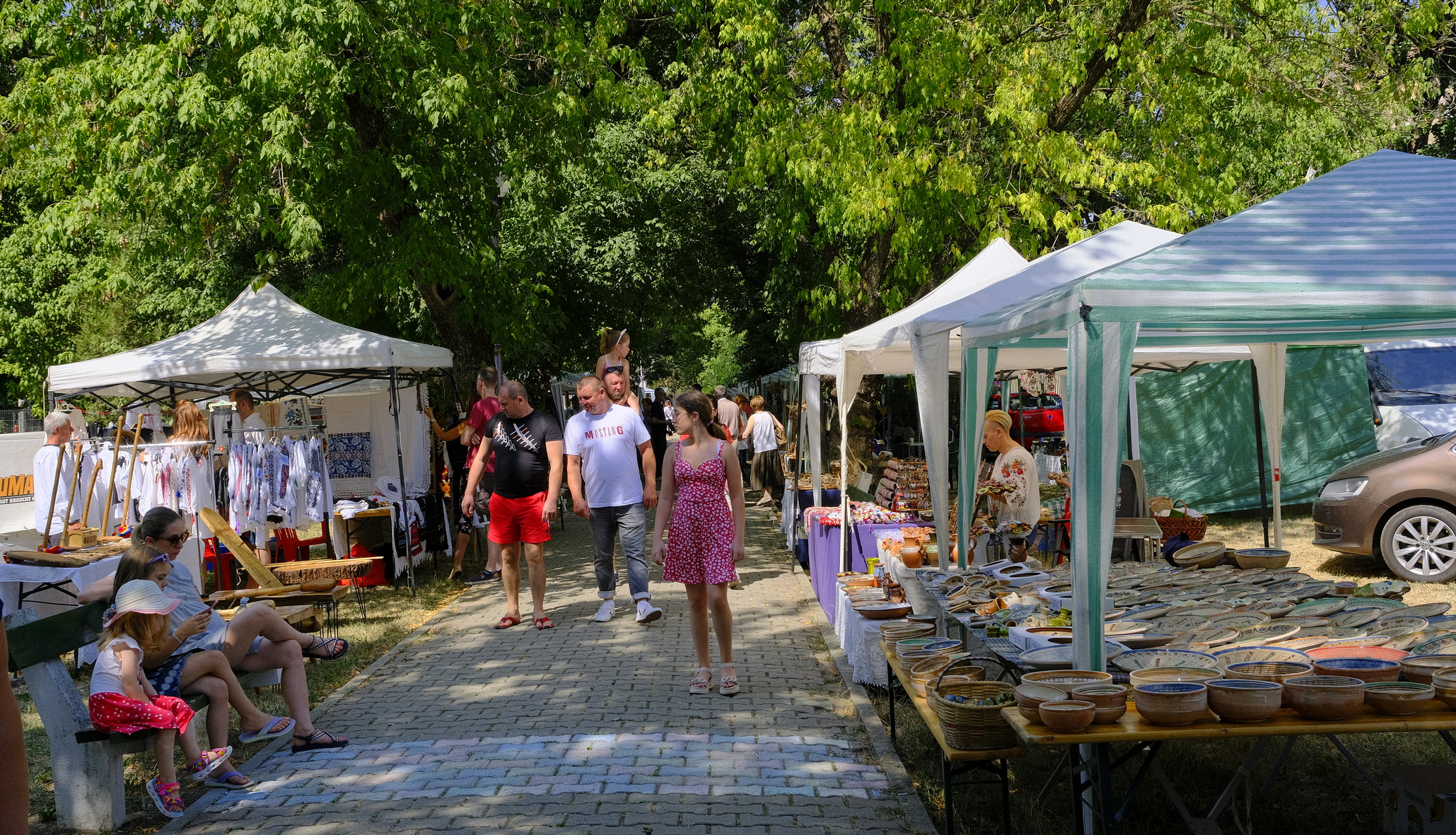 targul mesterilor populari oradea (38)