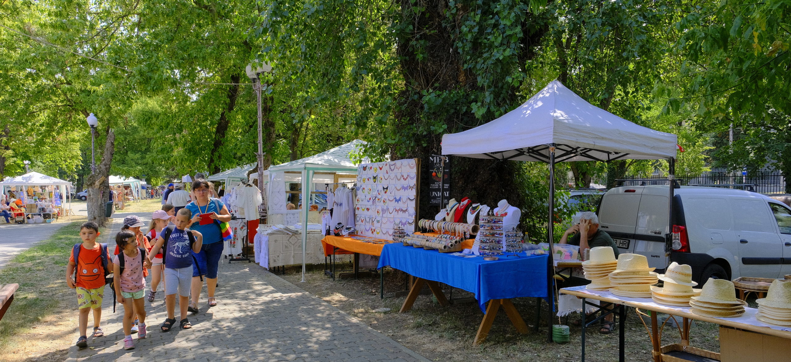 targul mesterilor populari oradea (40)