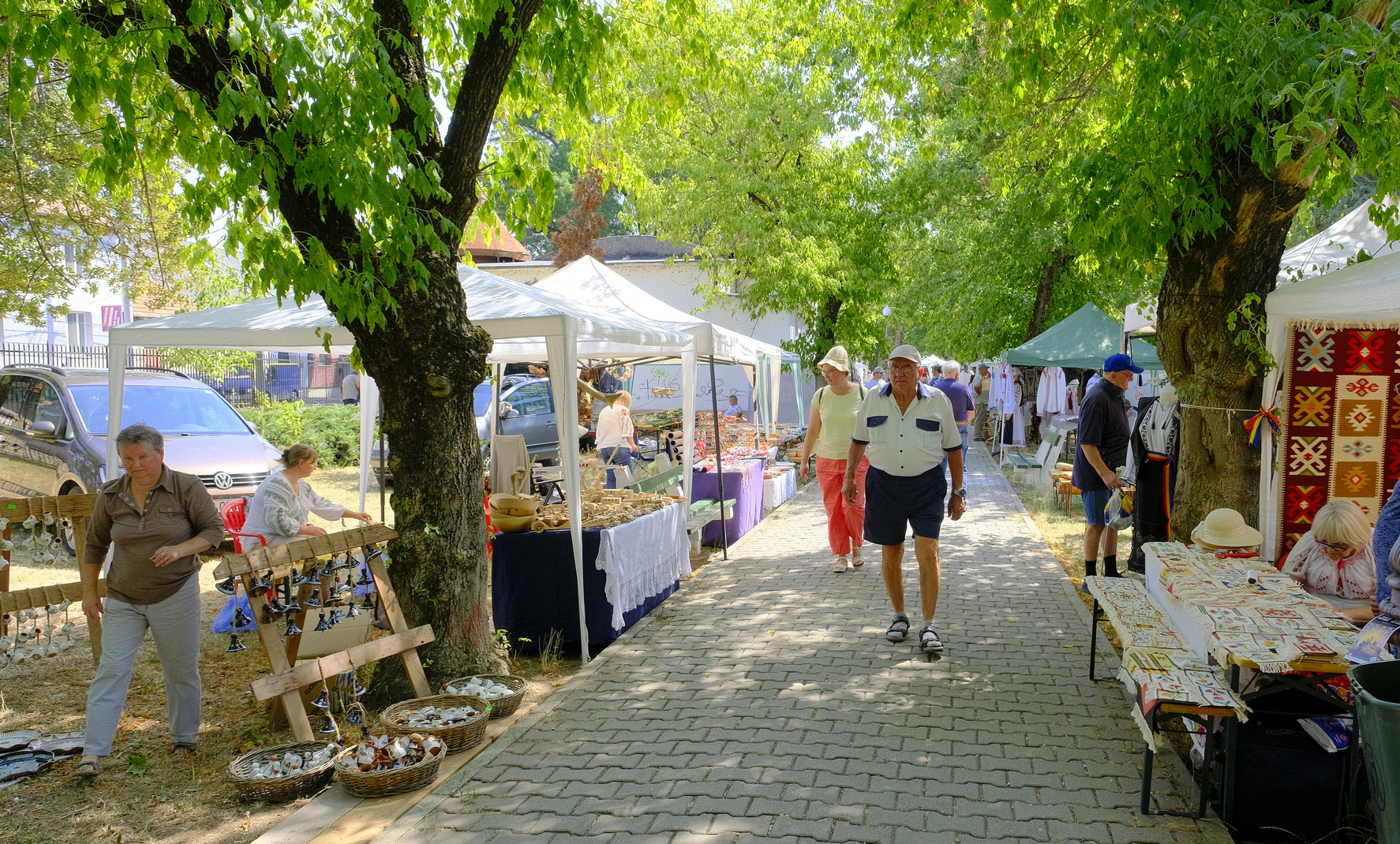 targul mesterilor populari oradea (43)