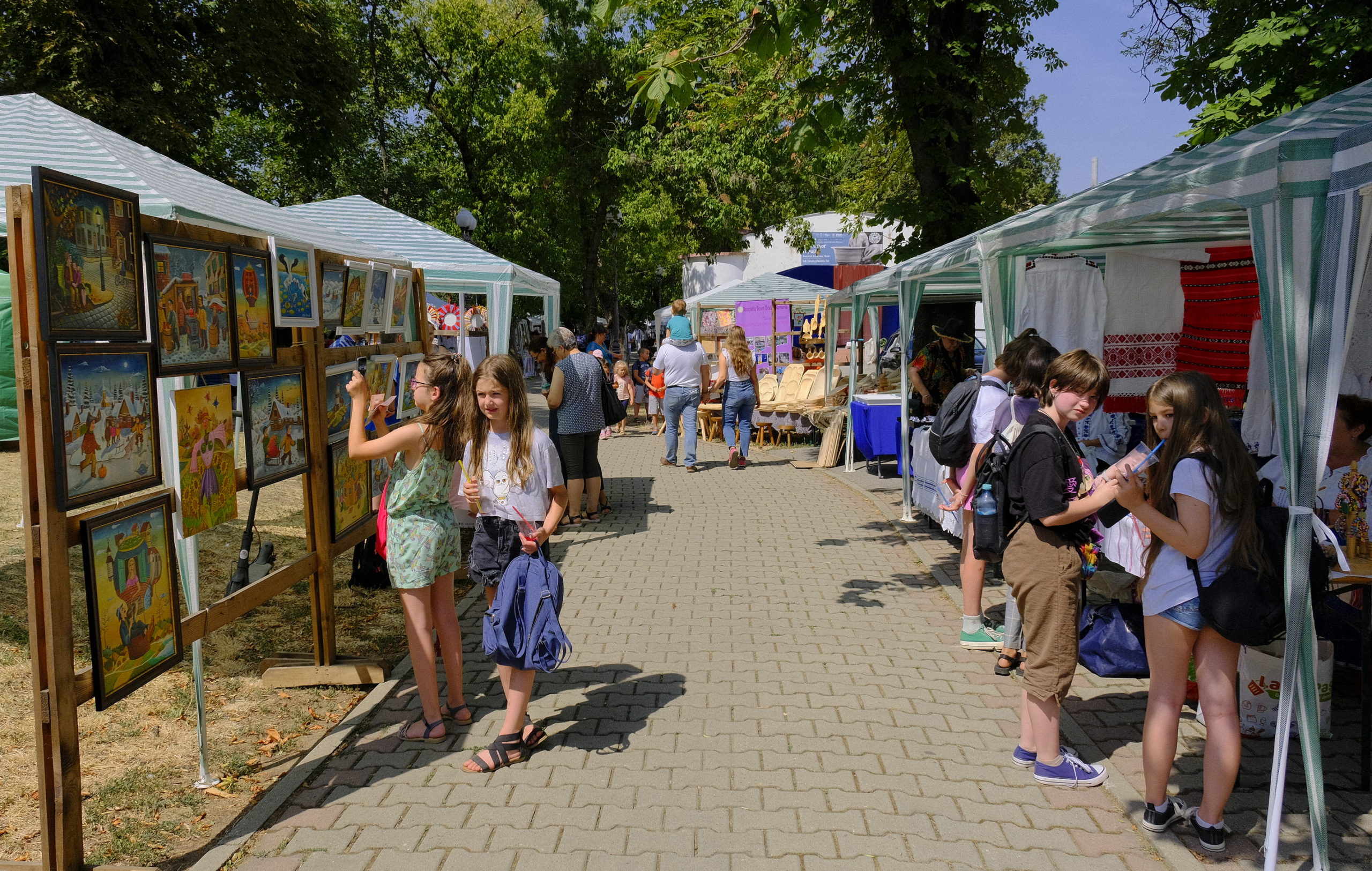 targul mesterilor populari oradea (59)