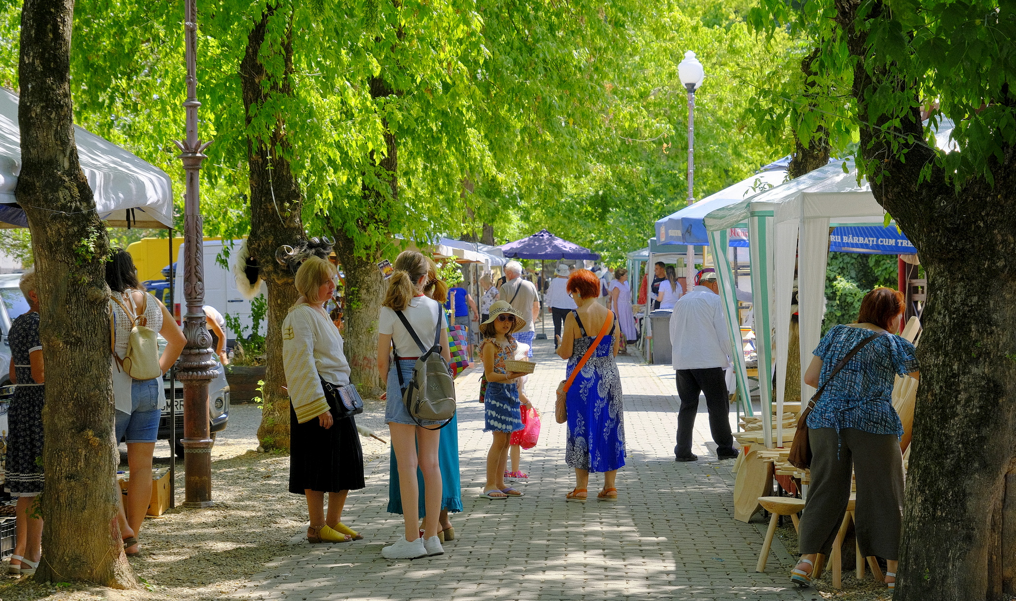 targul mesterilor populari oradea (63)