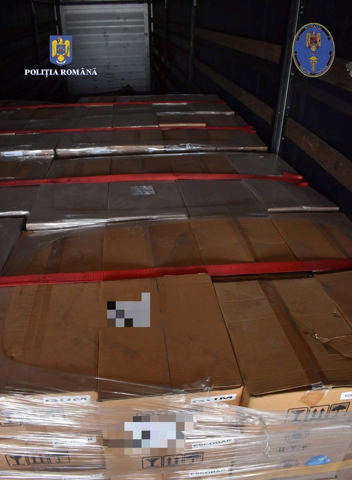 296369200_382133447392801_3450349439746366132_n