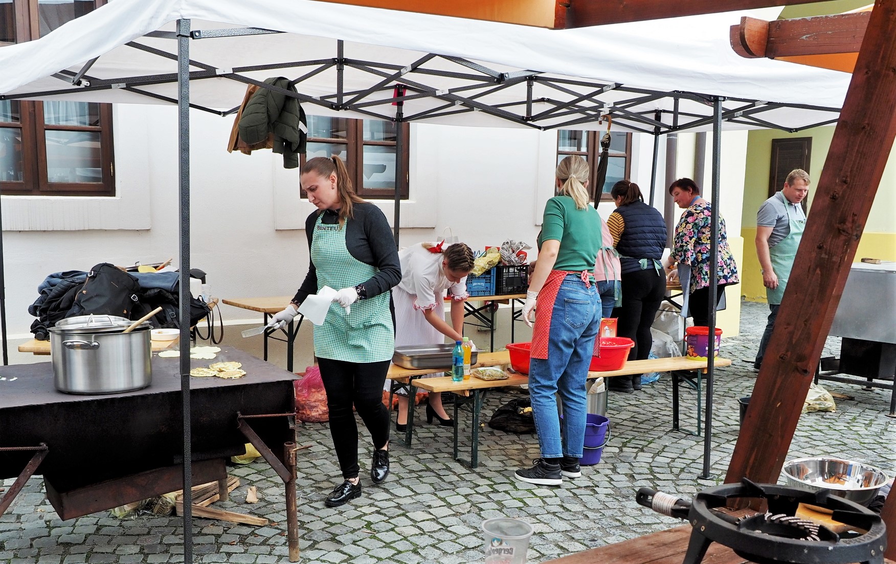 Zilele slovacilor (19)