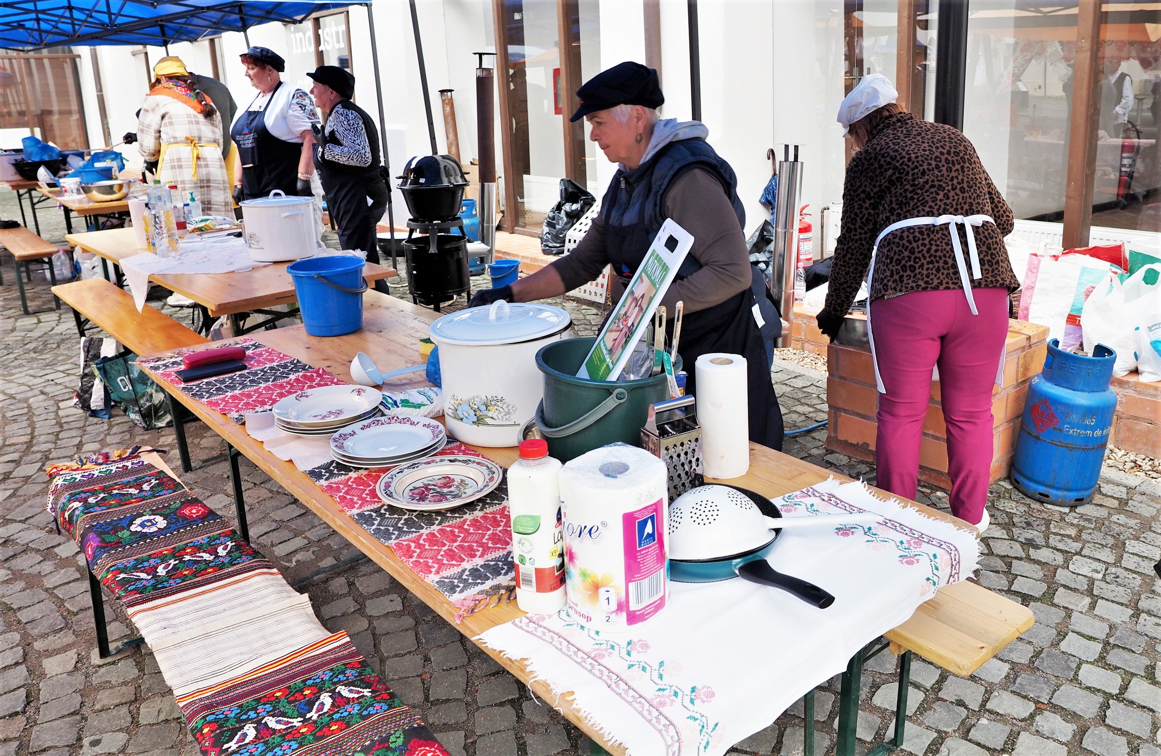 Zilele slovacilor (16)