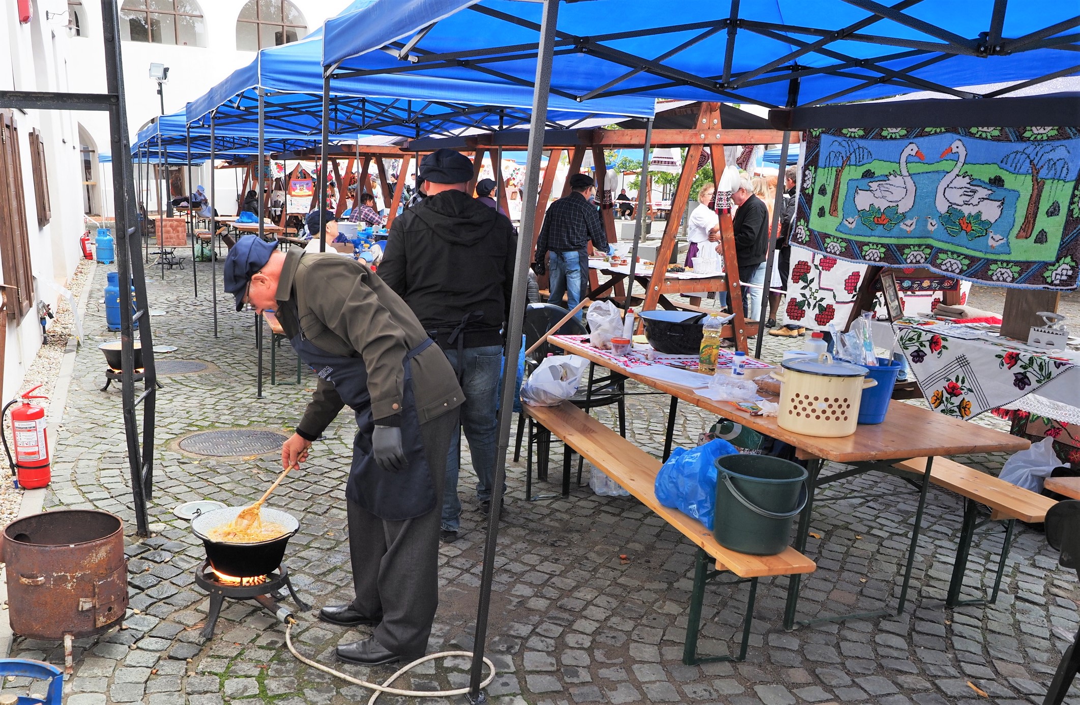 Zilele slovacilor (9)