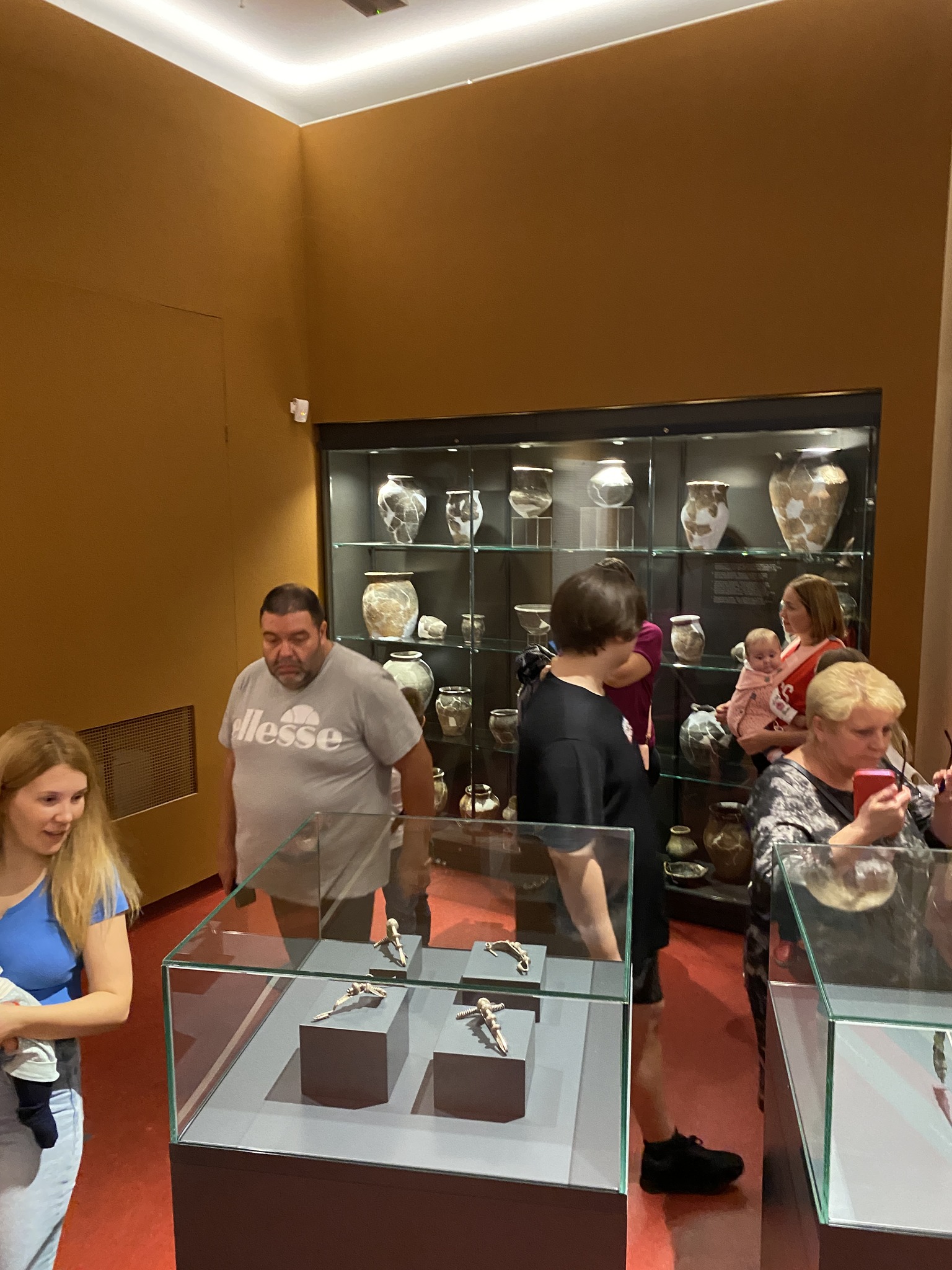 ucraineni la muzeu11