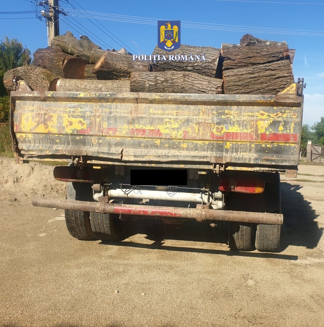 PHOTO-2022-10-06-09-57-18