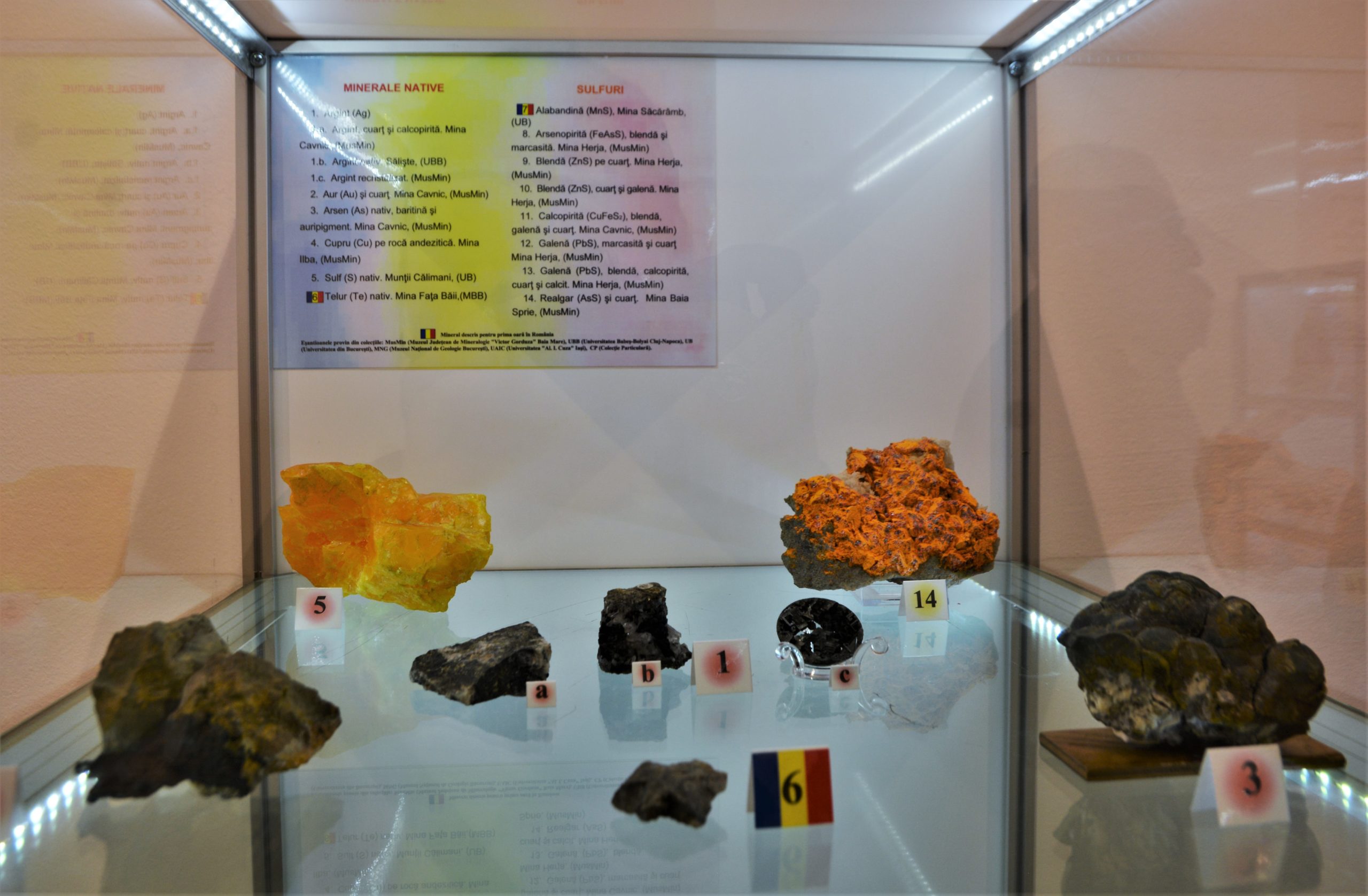 expozitie minerale oradea (2)