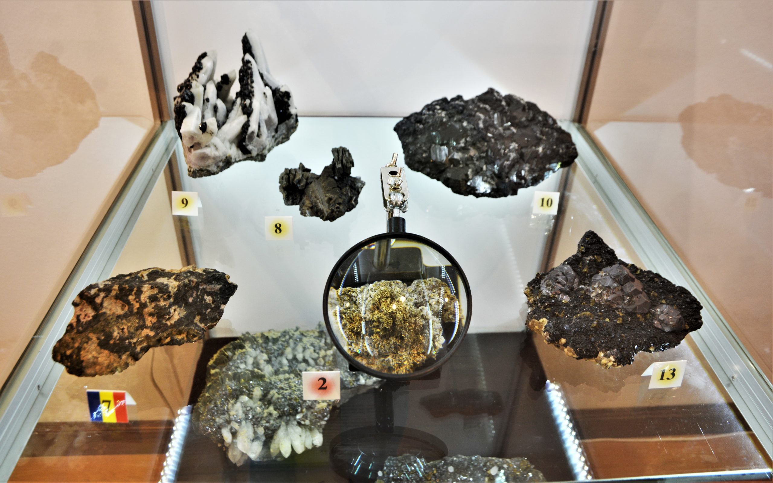 expozitie minerale oradea (3)