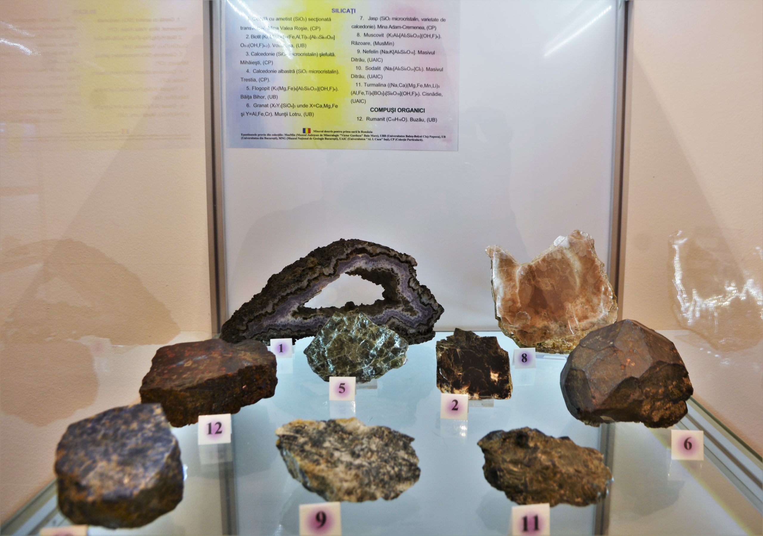 expozitie minerale oradea (5)