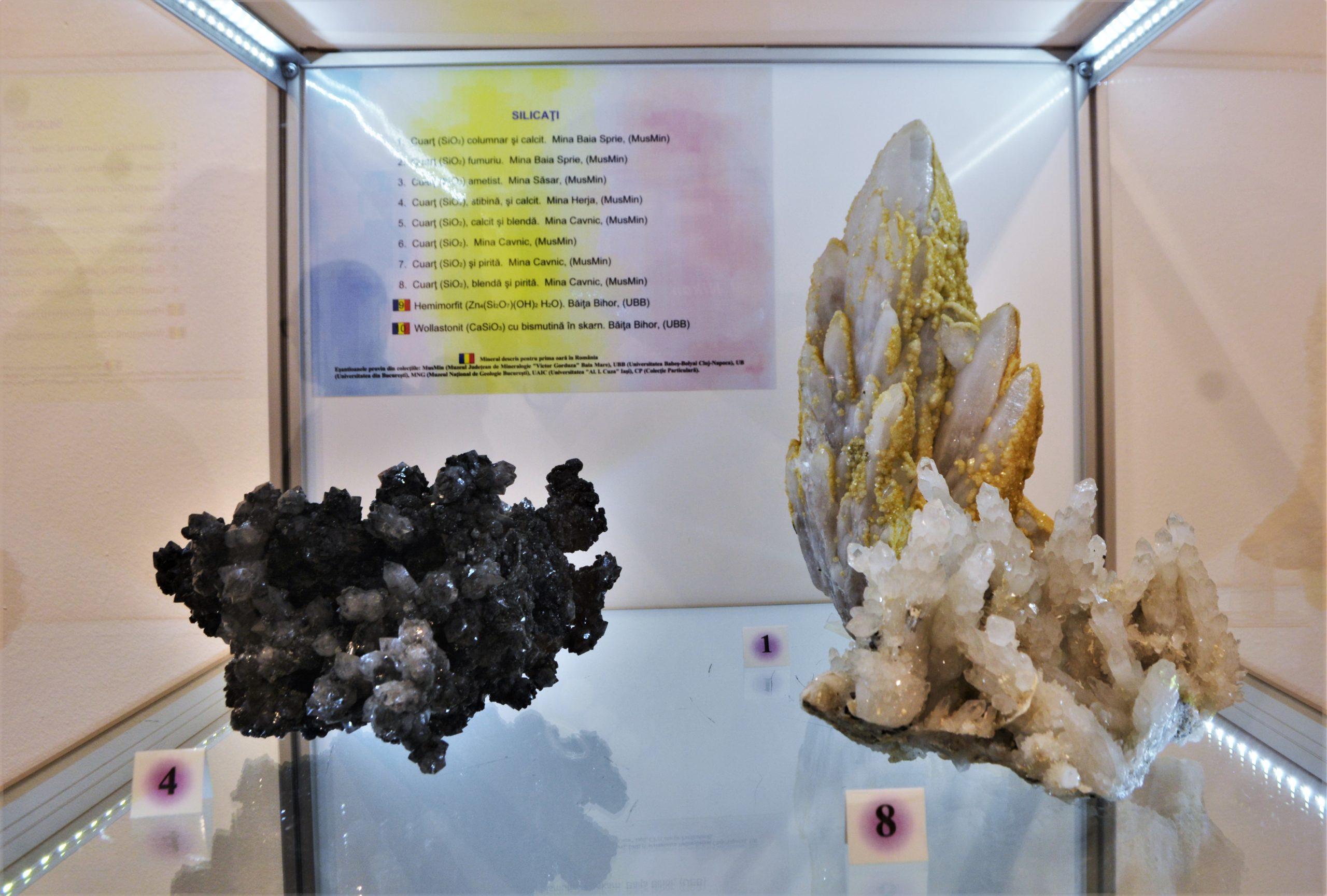 expozitie minerale oradea (7)