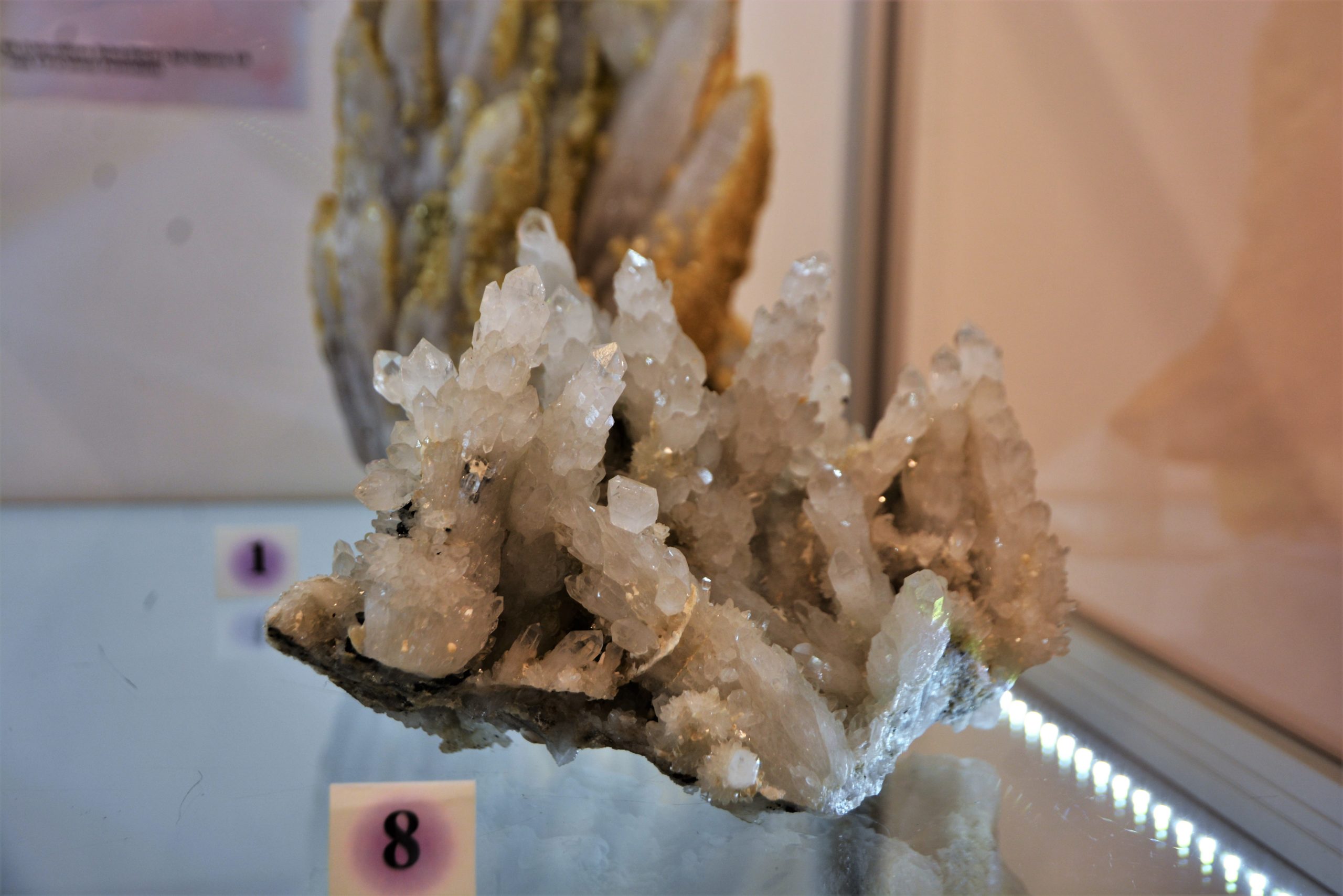 expozitie minerale oradea (8)