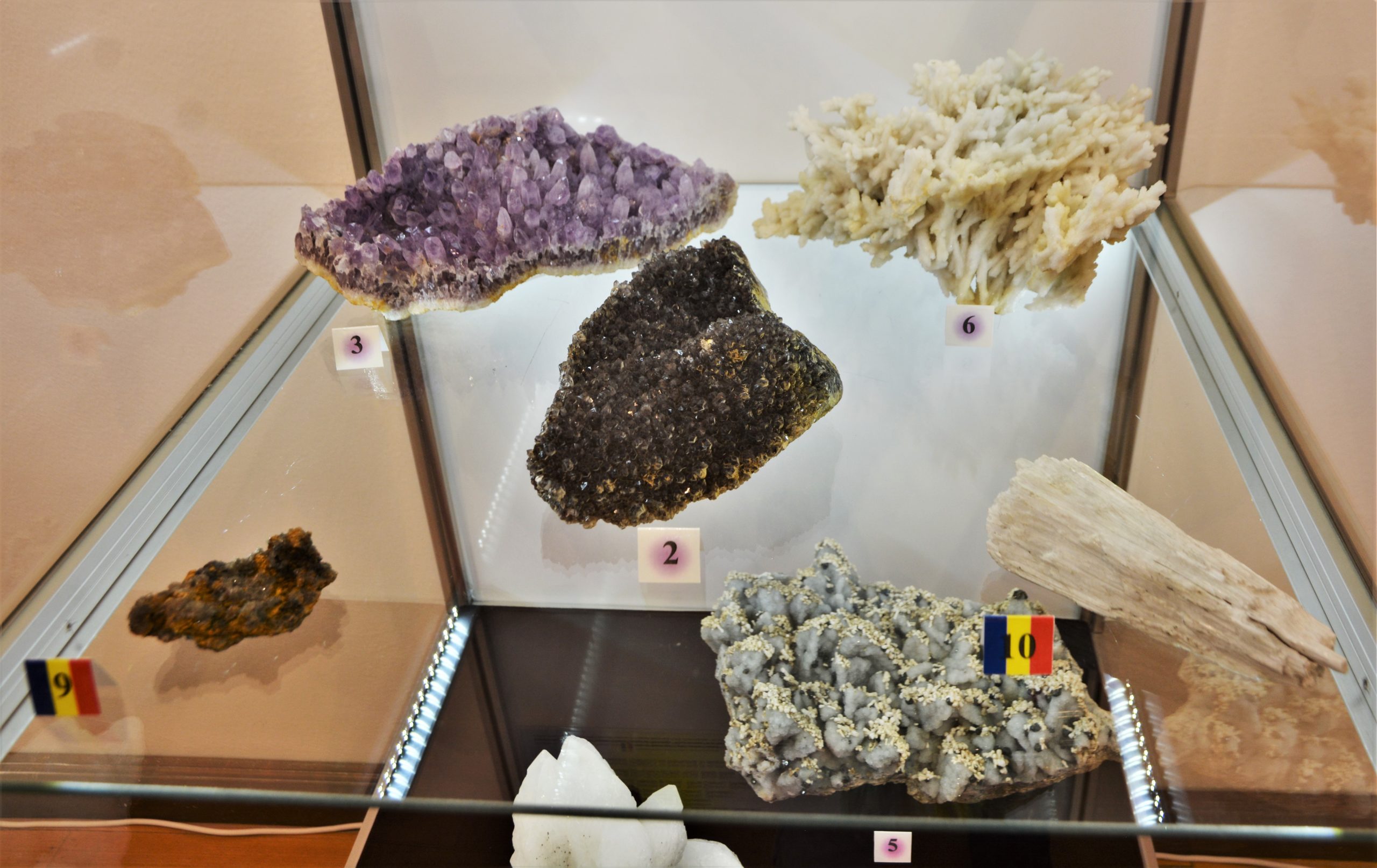 expozitie minerale oradea (10)