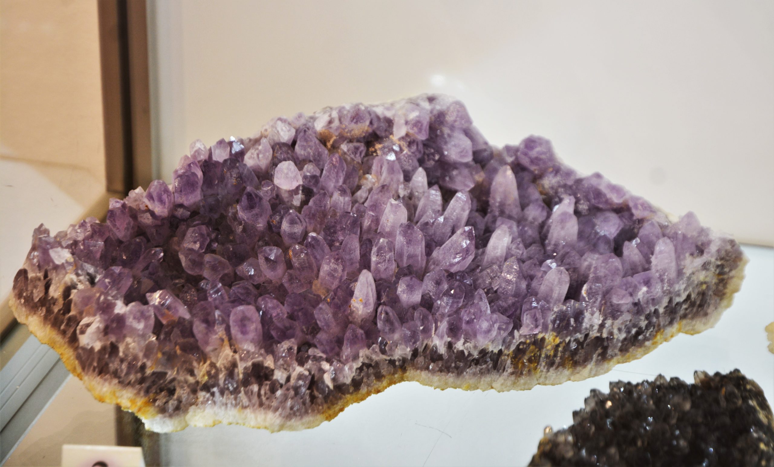 expozitie minerale oradea (12)