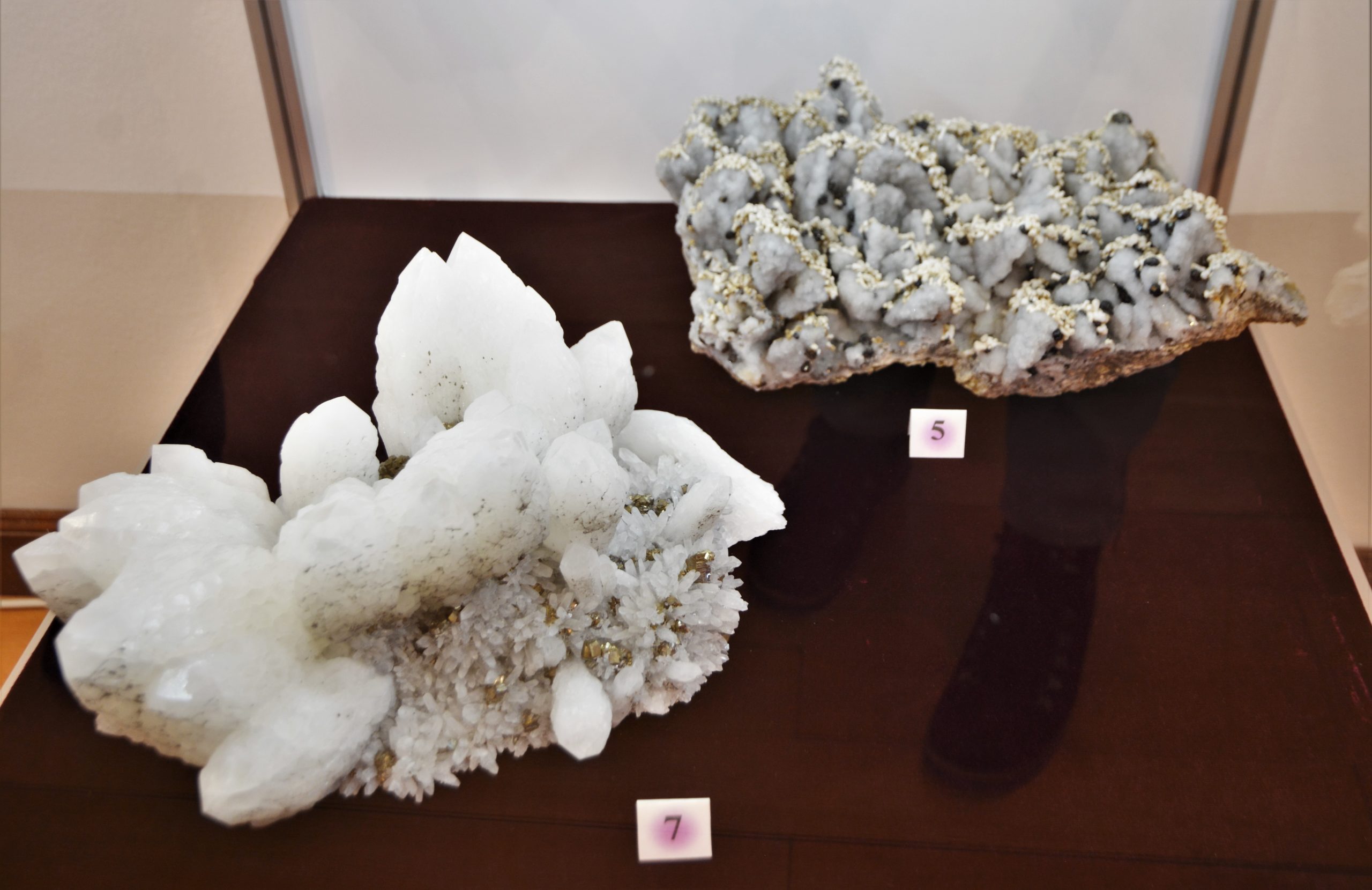 expozitie minerale oradea (13)