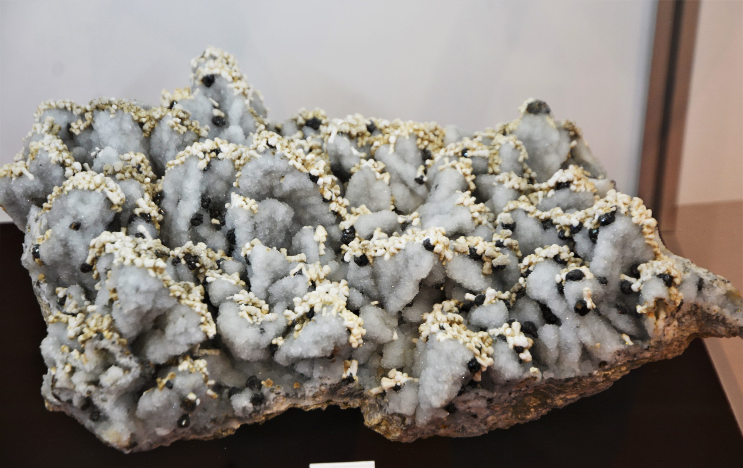 expozitie minerale oradea (14)