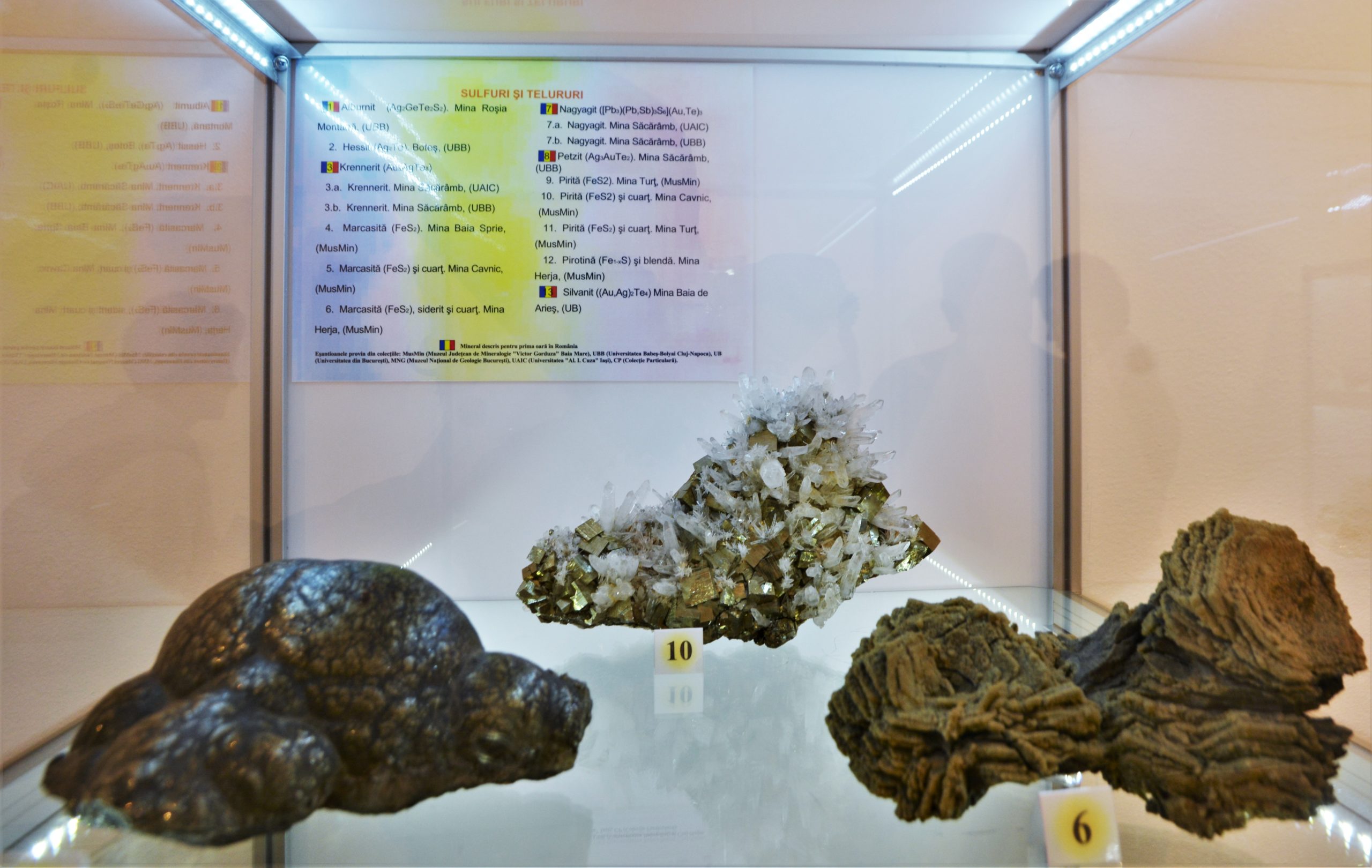 expozitie minerale oradea (15)