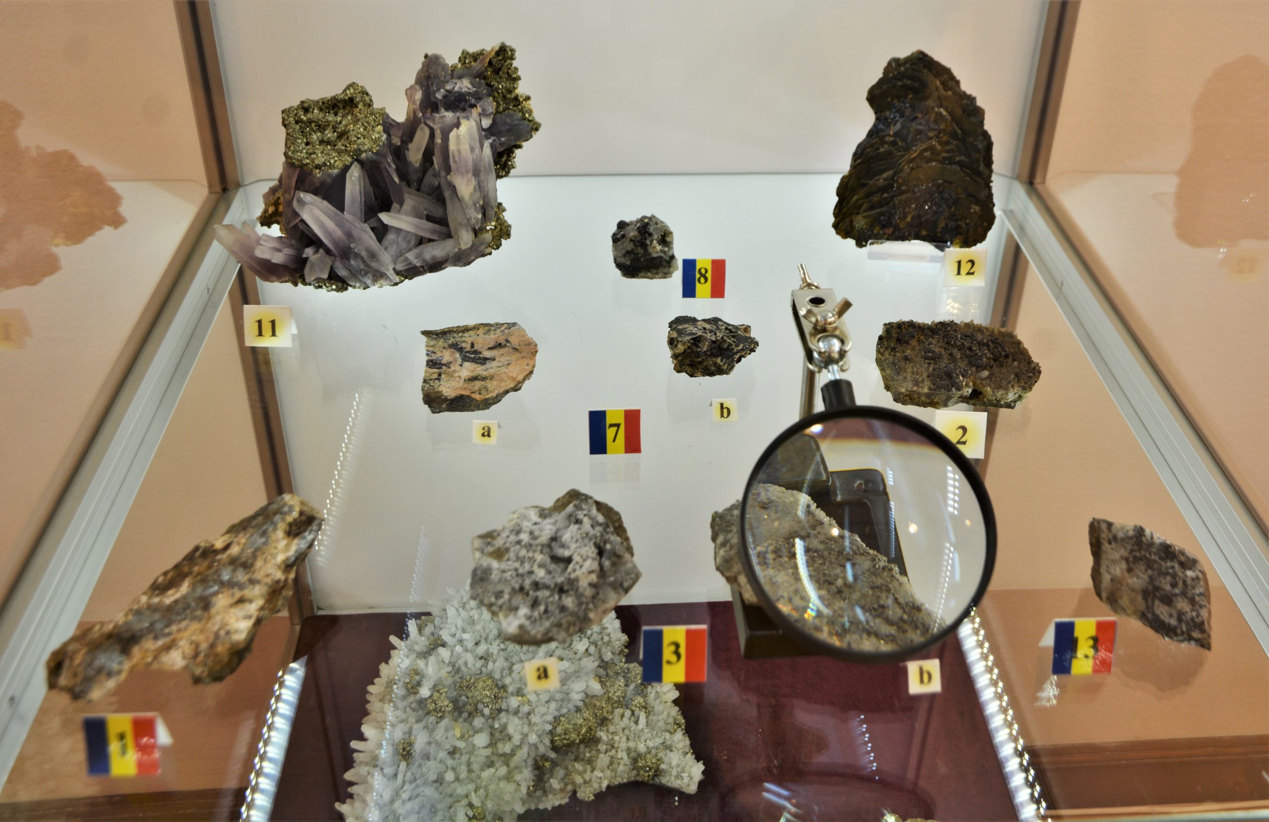 expozitie minerale oradea (17)