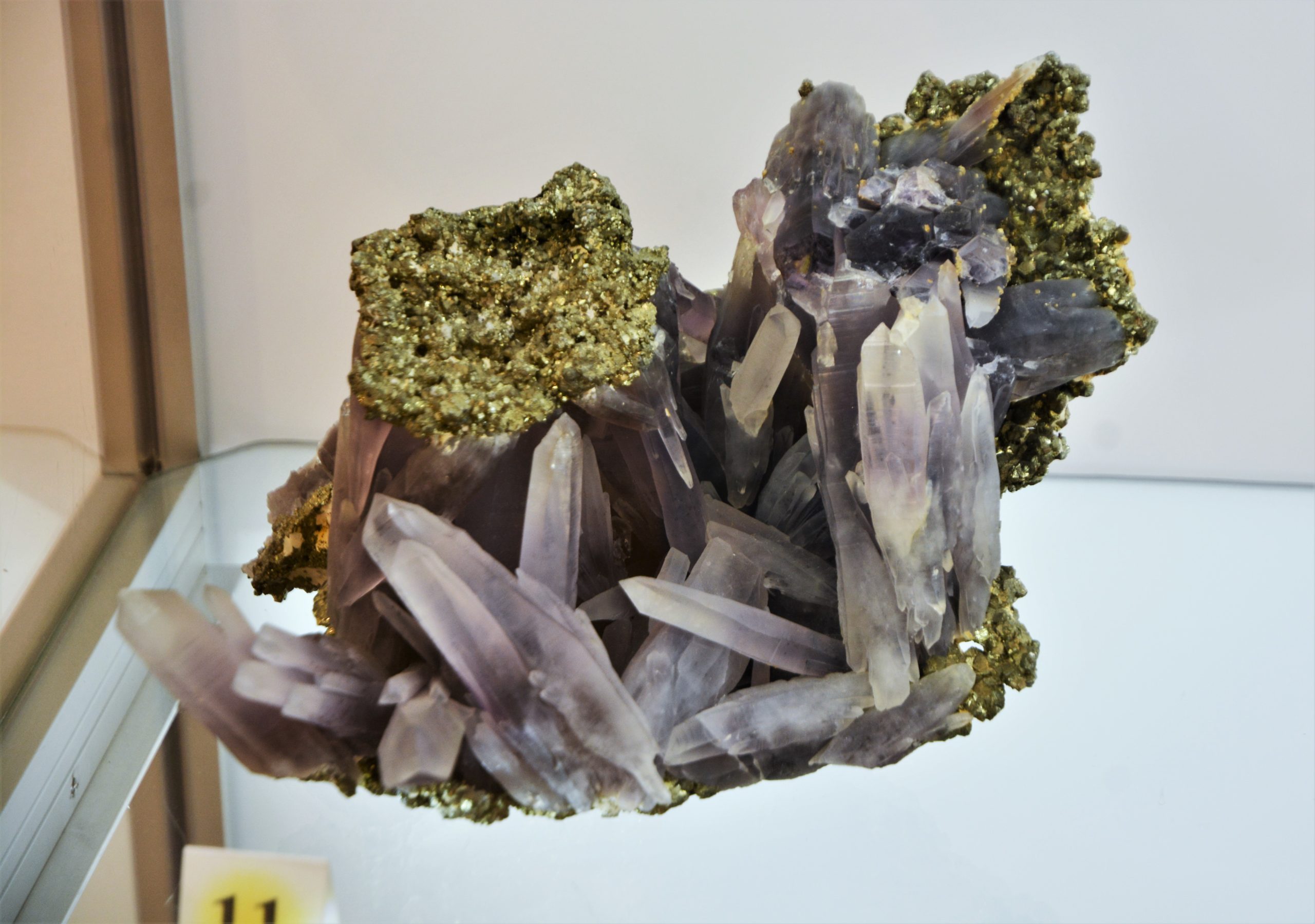 expozitie minerale oradea (18)