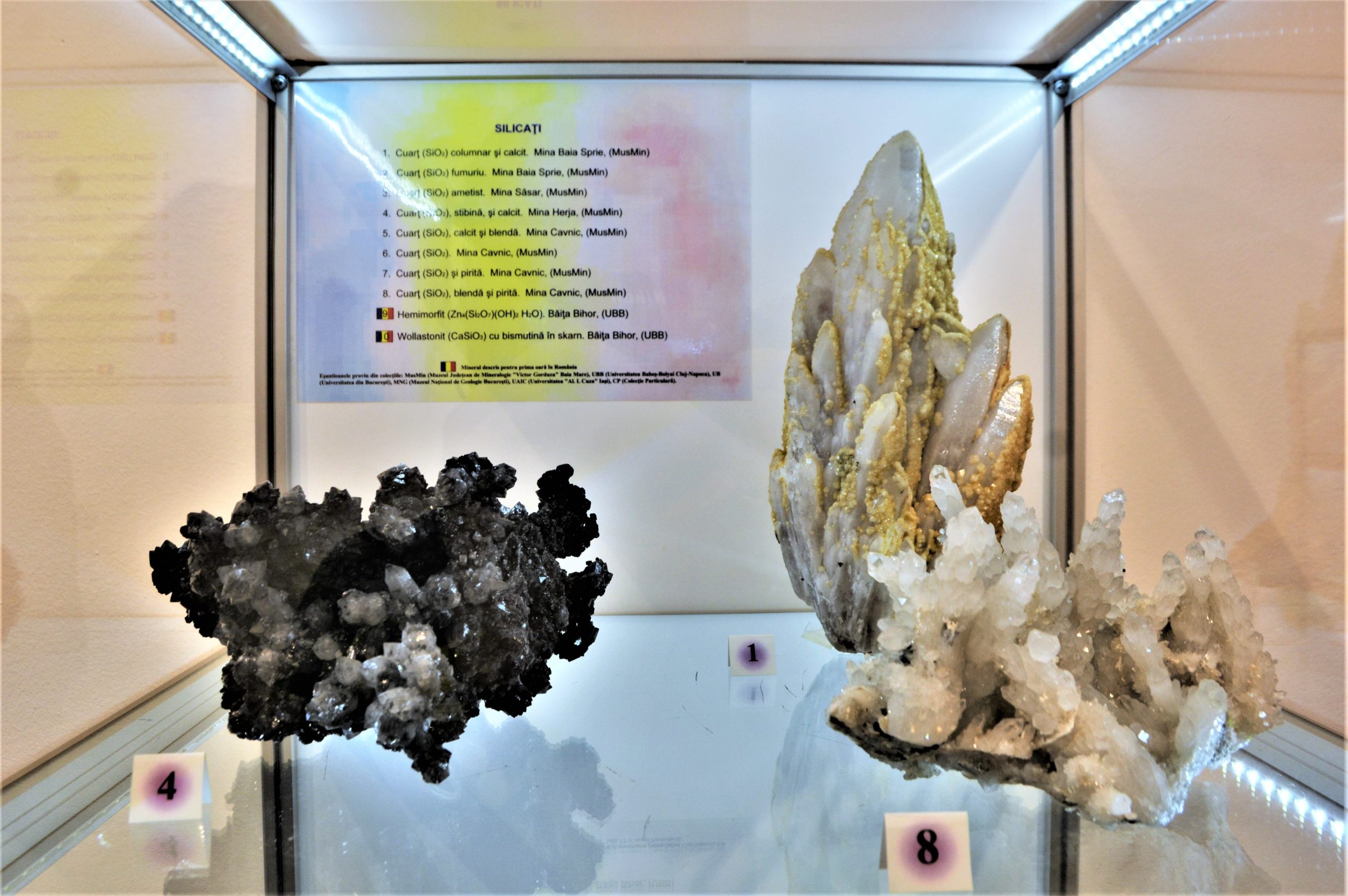 expozitie minerale oradea (22)
