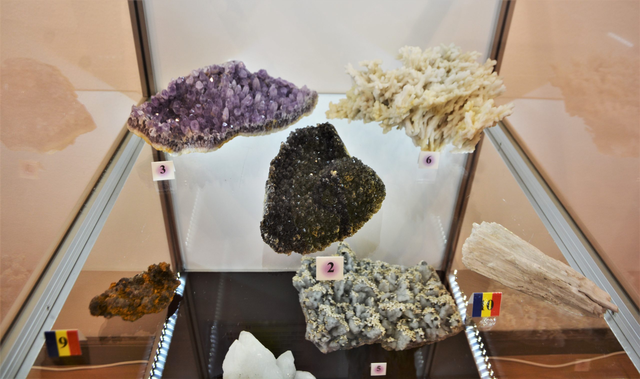 expozitie minerale oradea (23)